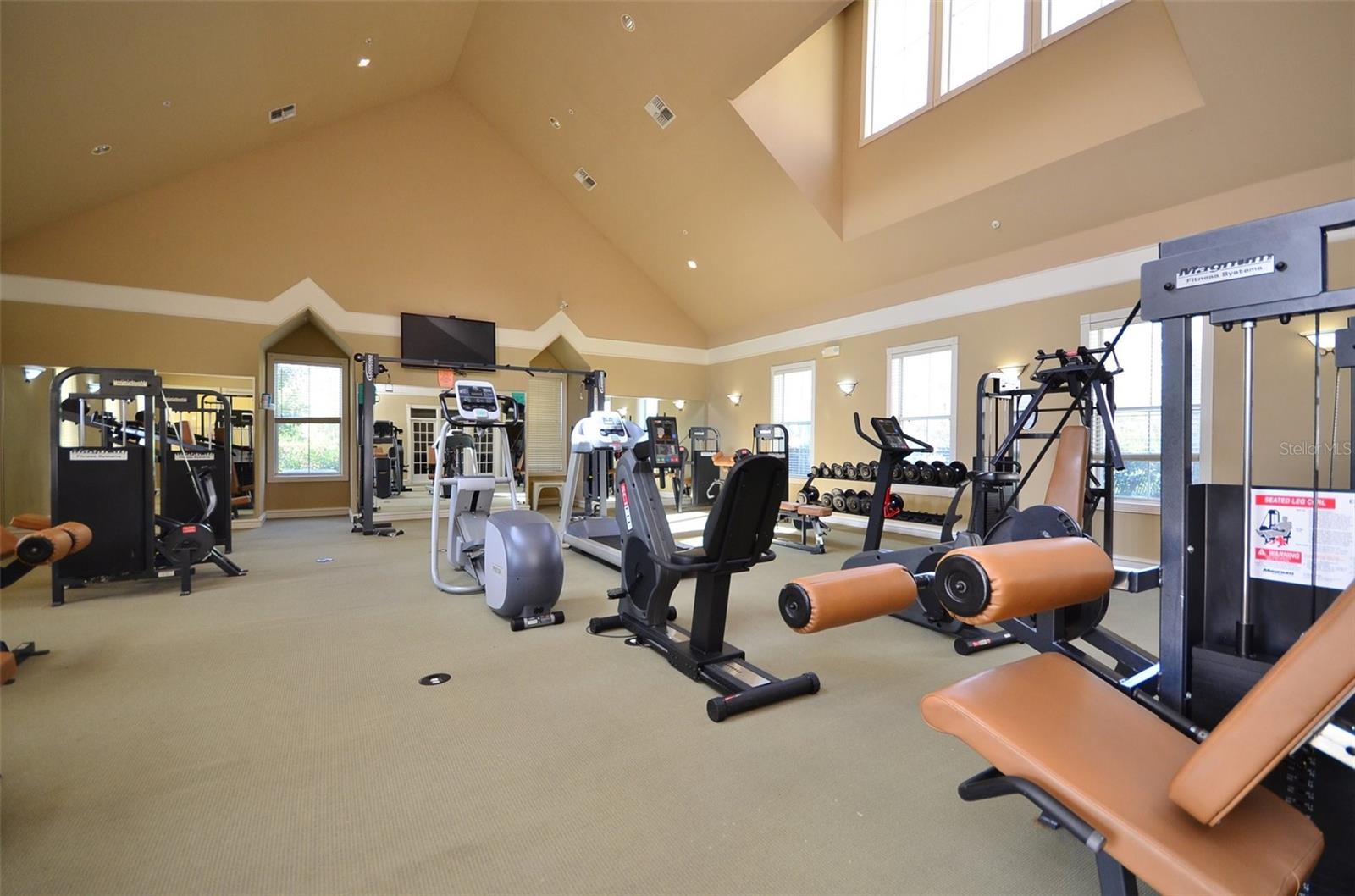 233 GOLDENRAIN DR #304