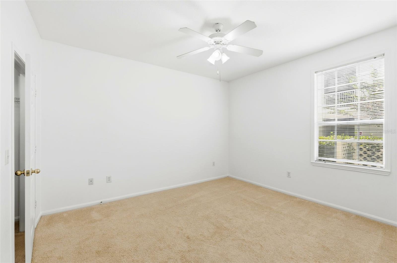 231 GOLDENRAIN DR #101