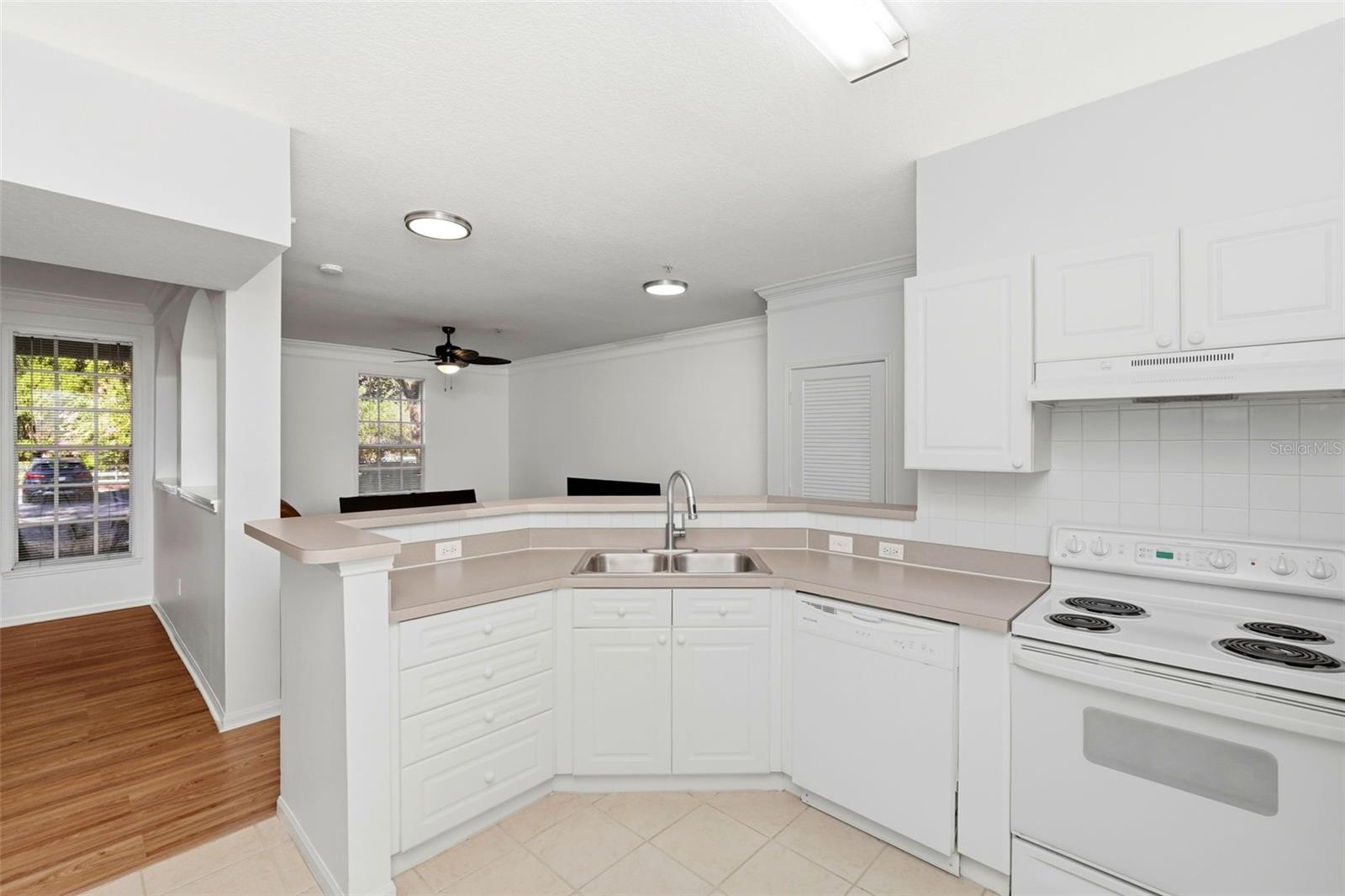 231 GOLDENRAIN DR #101