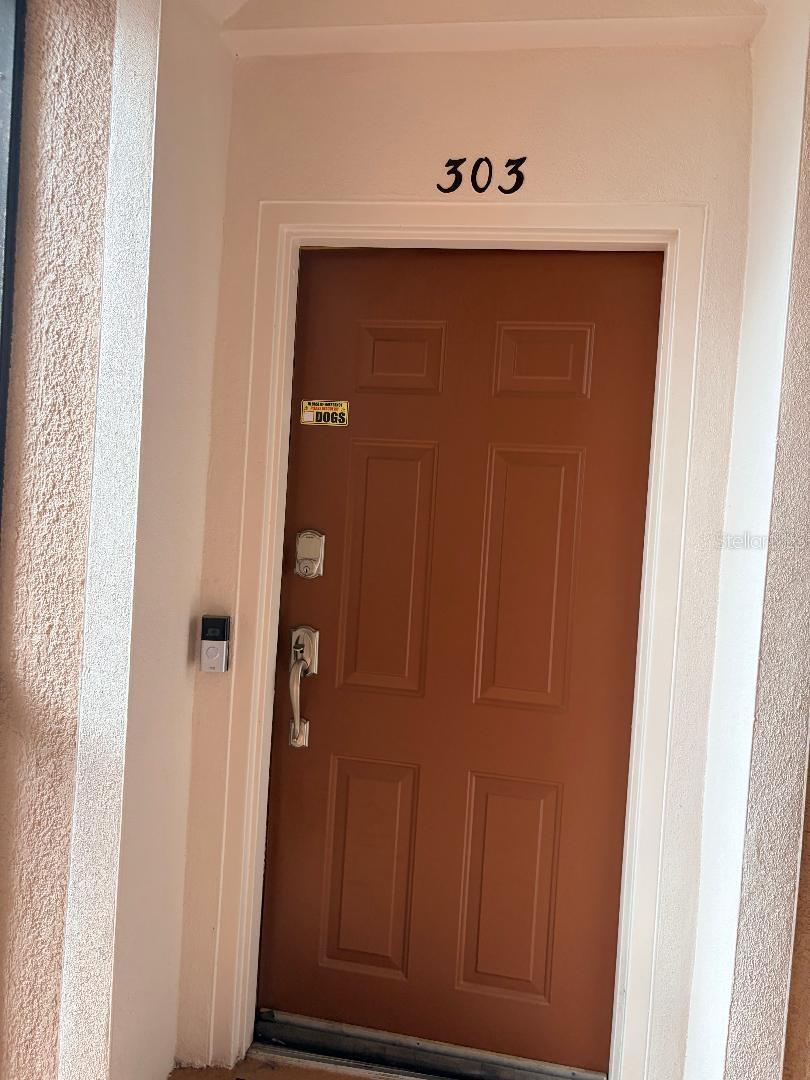 1357 VENEZIA CT #303