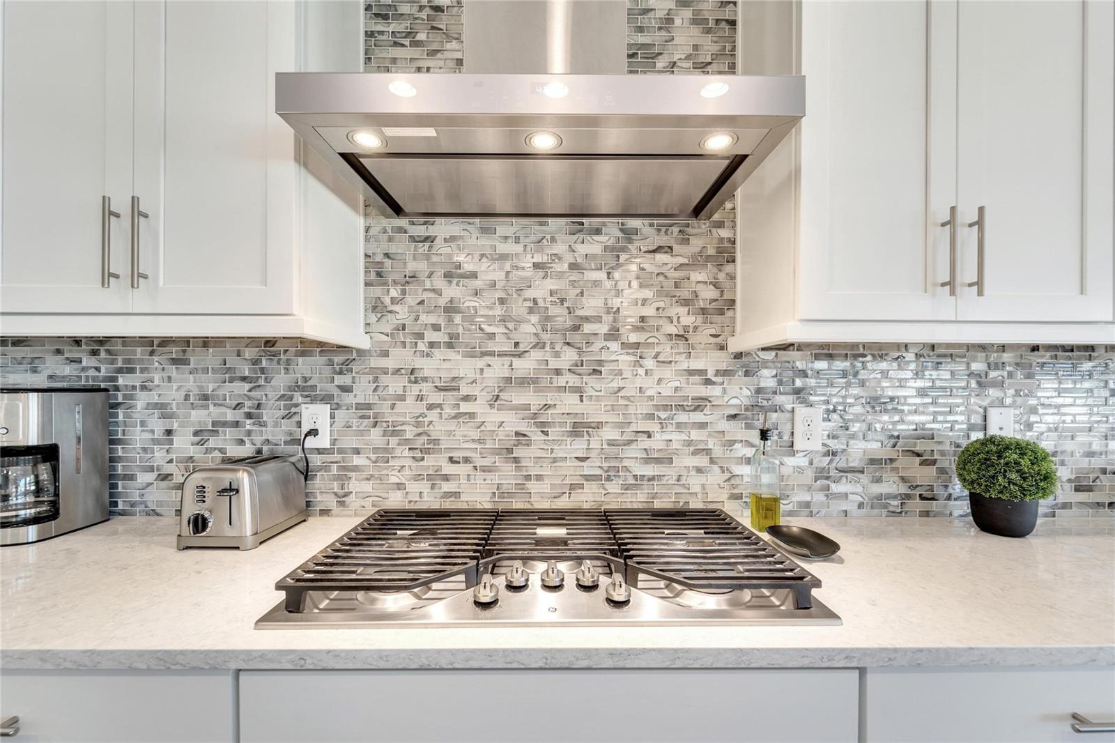 2842 VALENCIA RIDGE ST