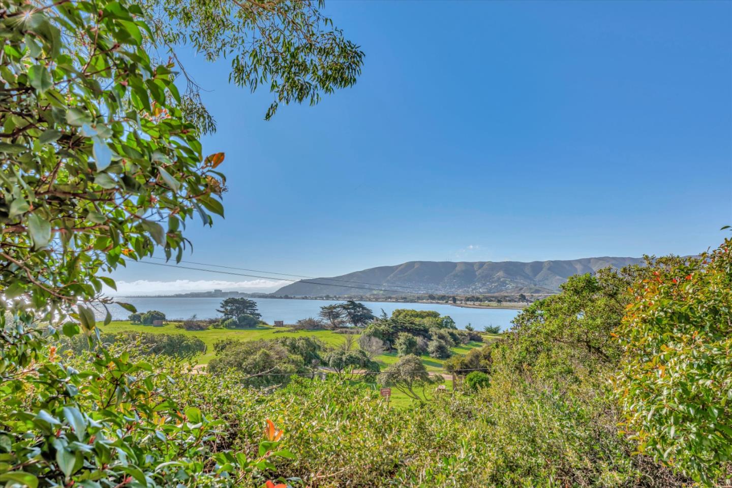 101 Crescent Way Unit: 2412