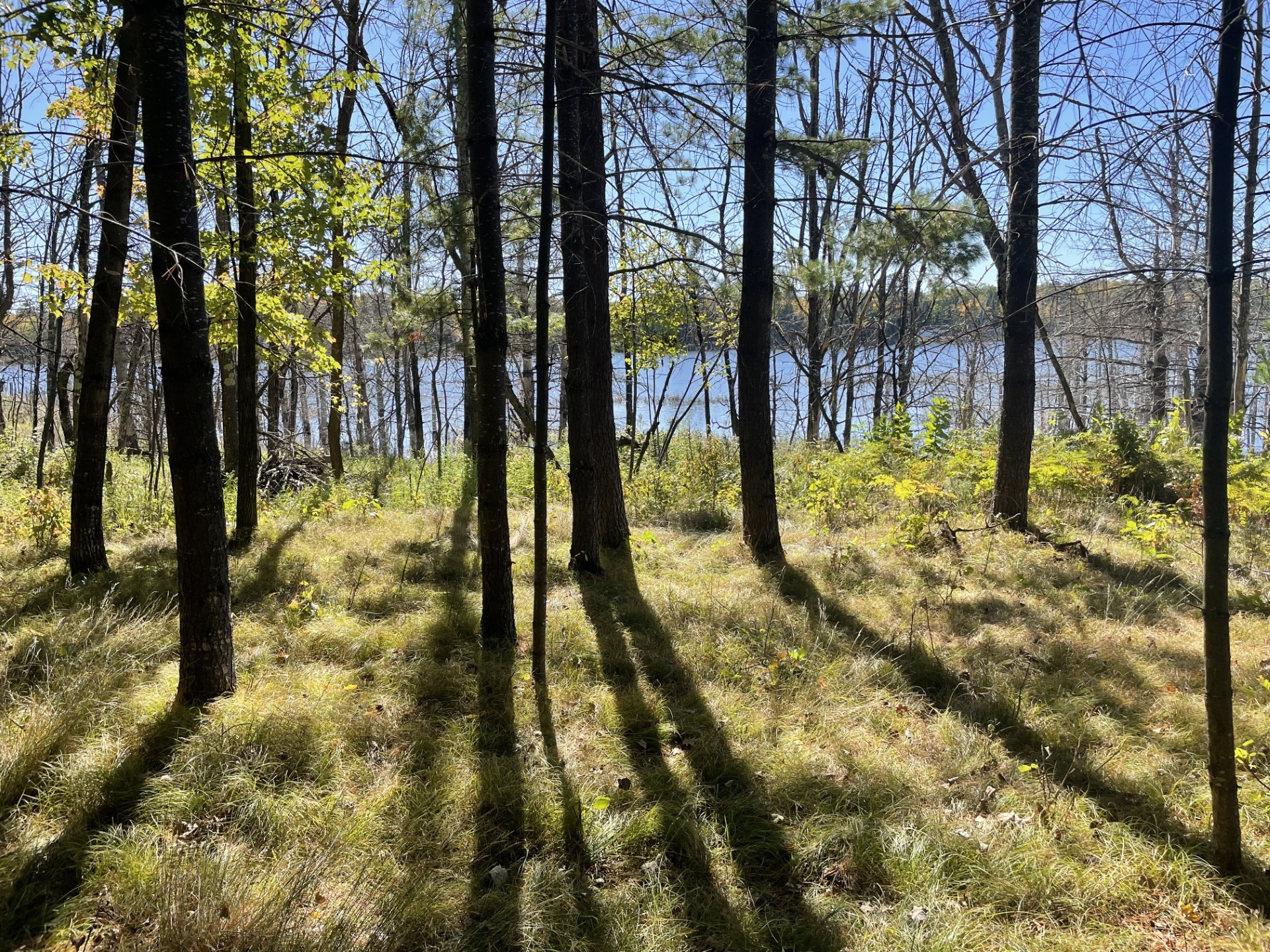 10385 Whispering Pines Road