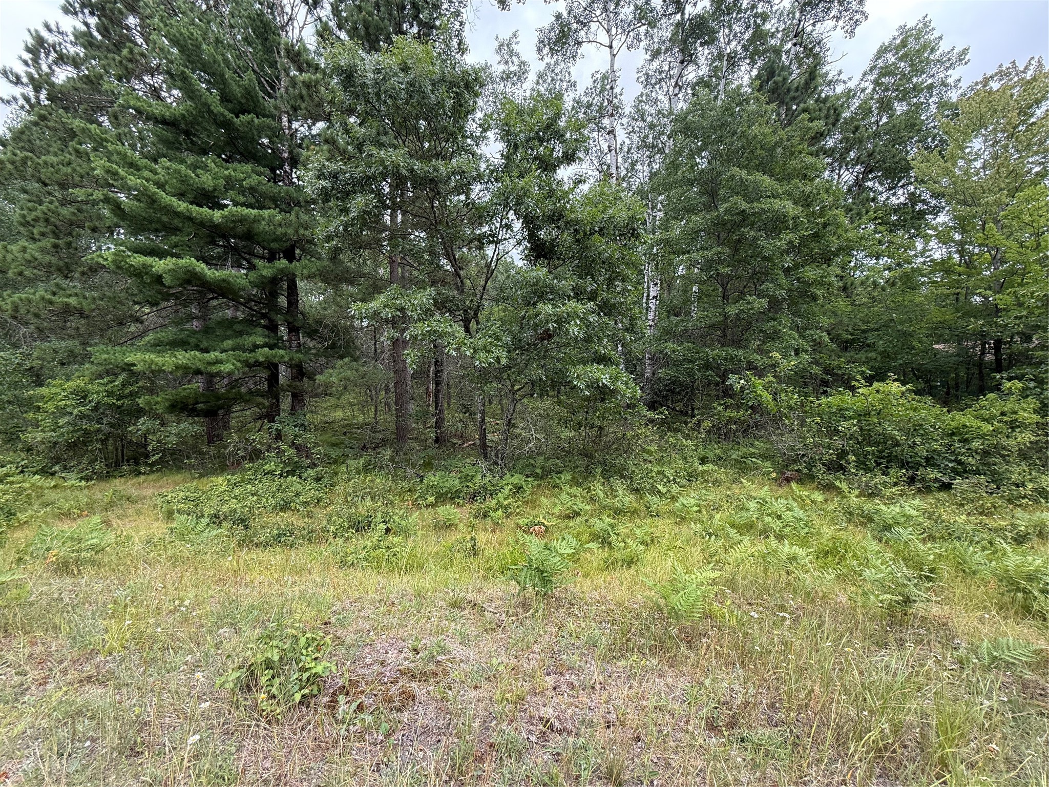 Lot 56 George Lake Road