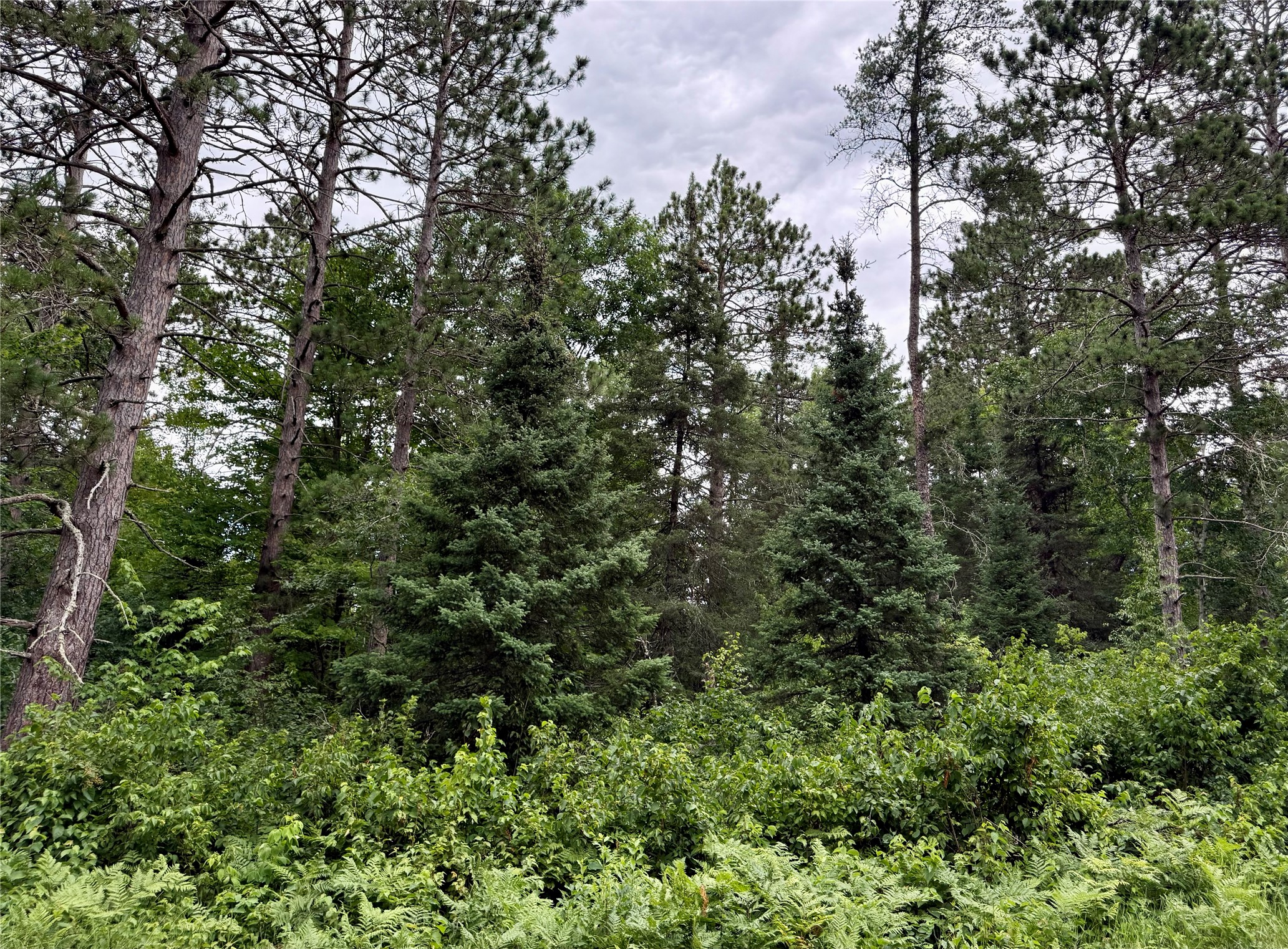 Lot 23 Lake Lodge Drive