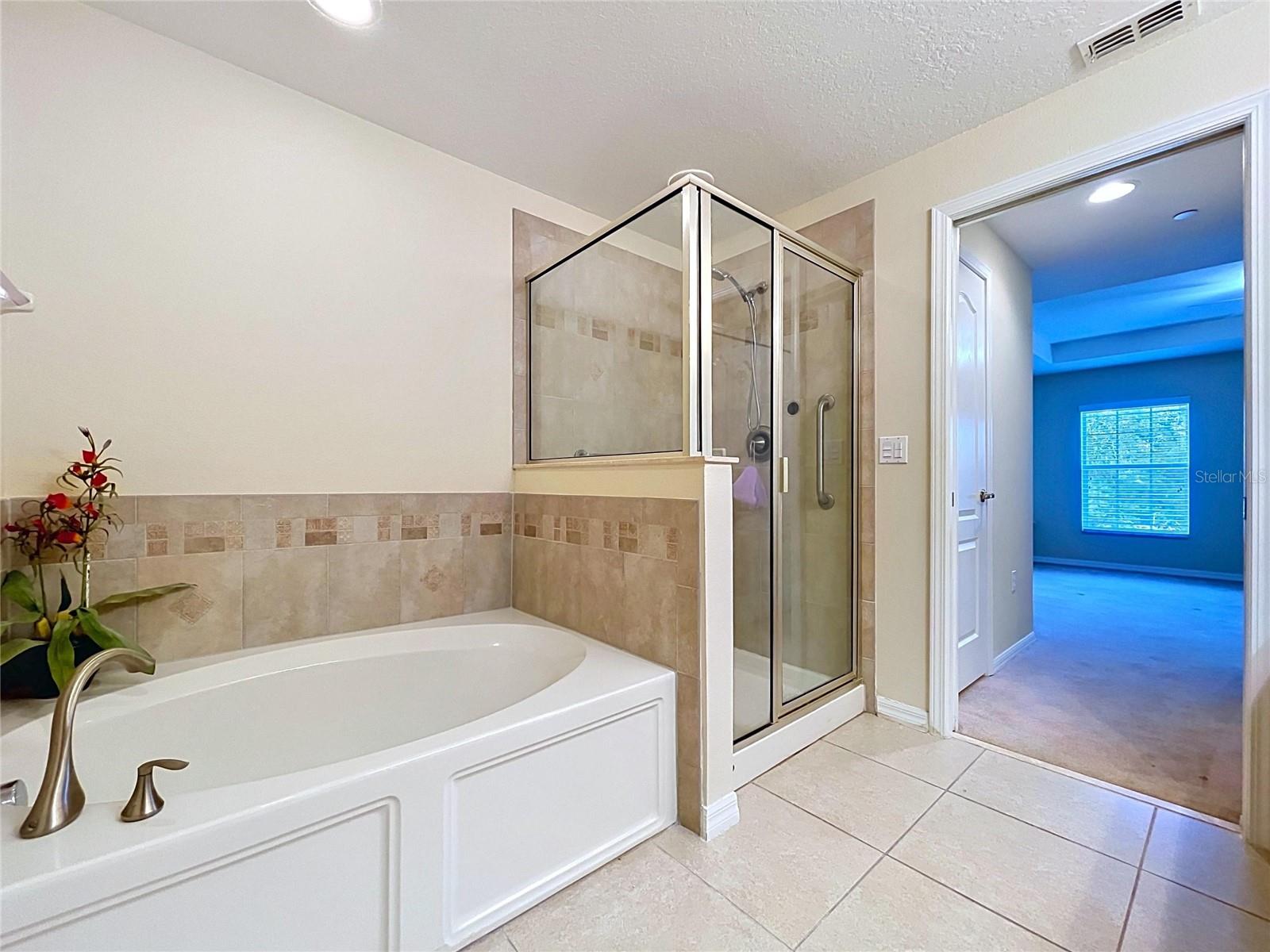 10144 ARBOR RUN DR #31