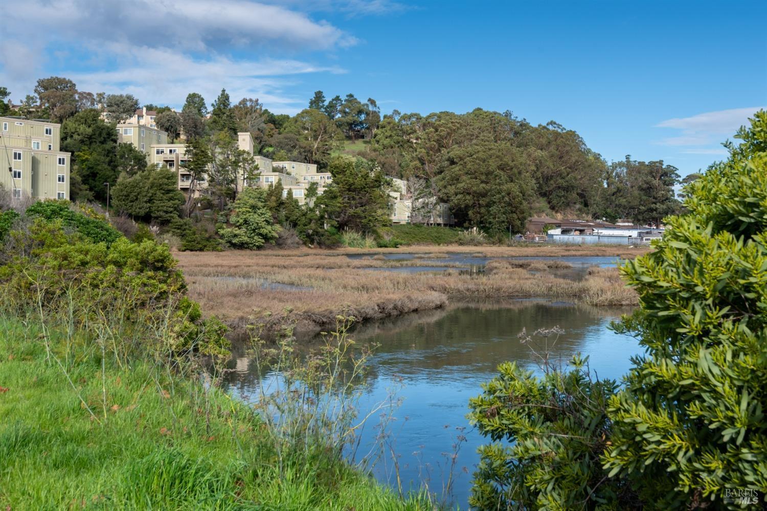 1226 Shelter Bay Avenue