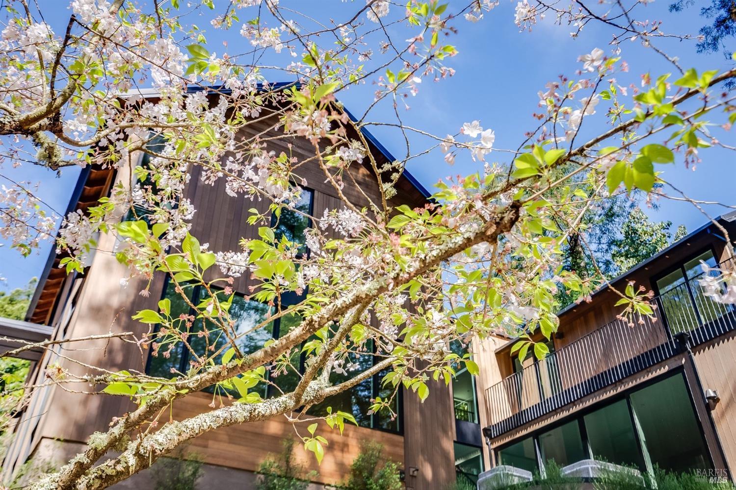 197 Corte Madera Ave