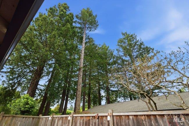 10 Catalpa Avenue Unit: #7