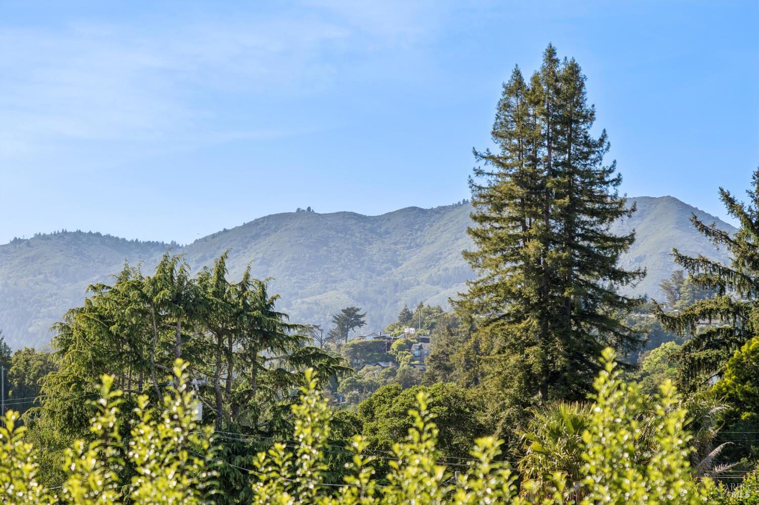 31 Alvarado Avenue