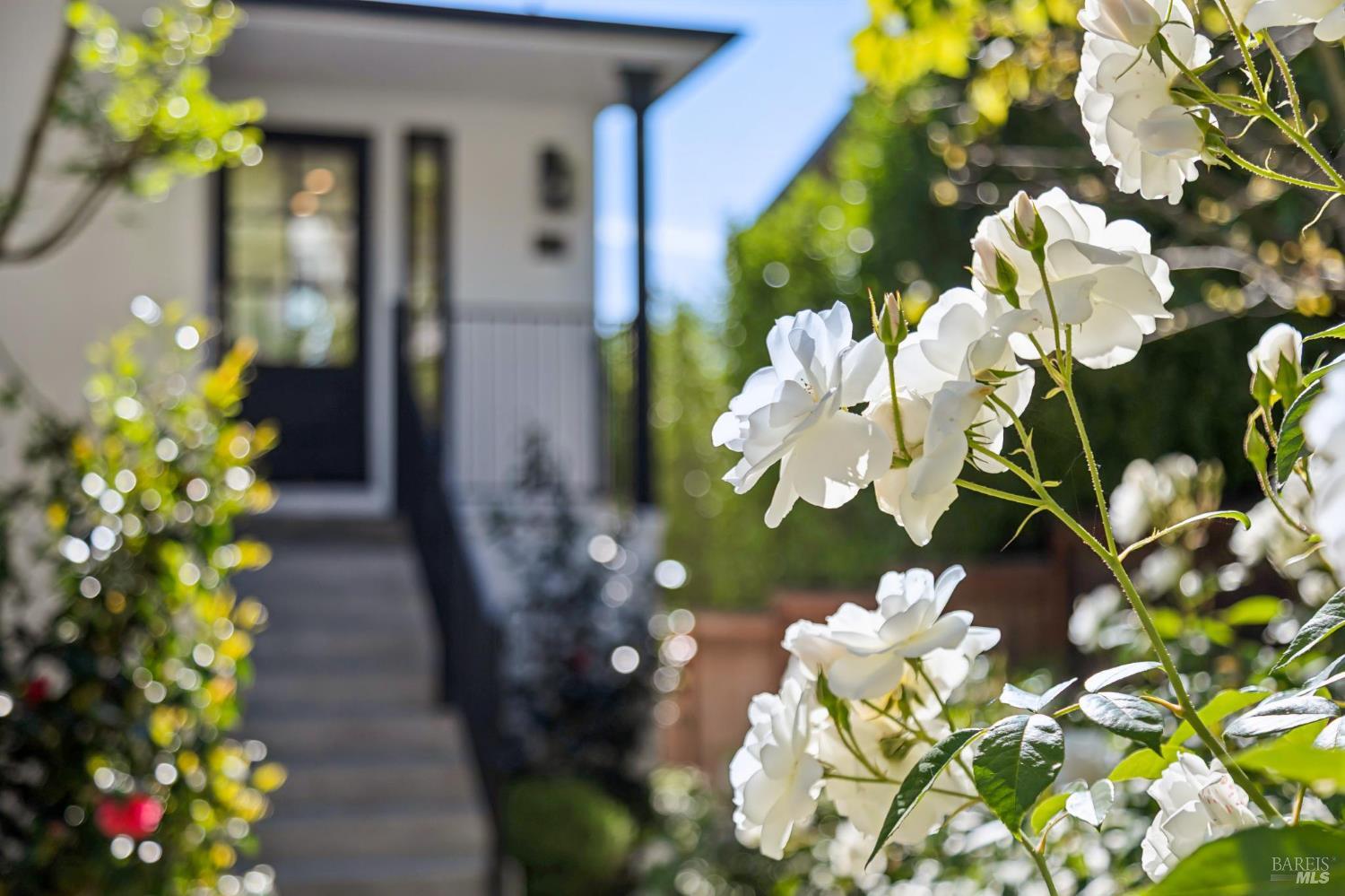 31 Alvarado Avenue