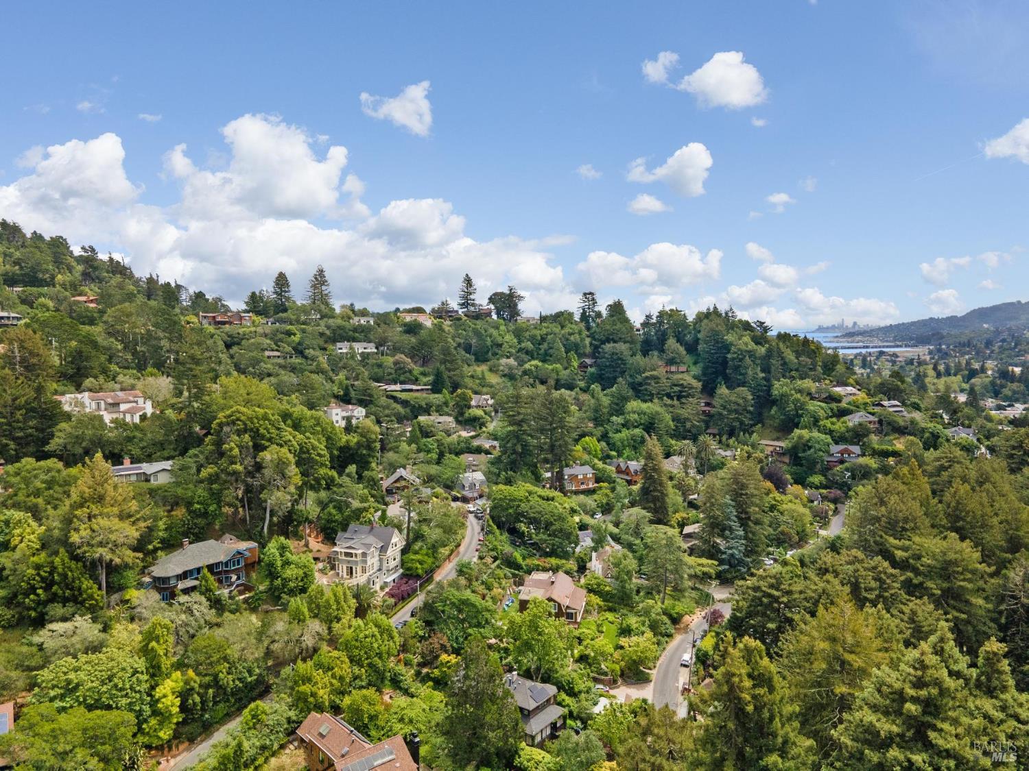 17 Coronet Avenue