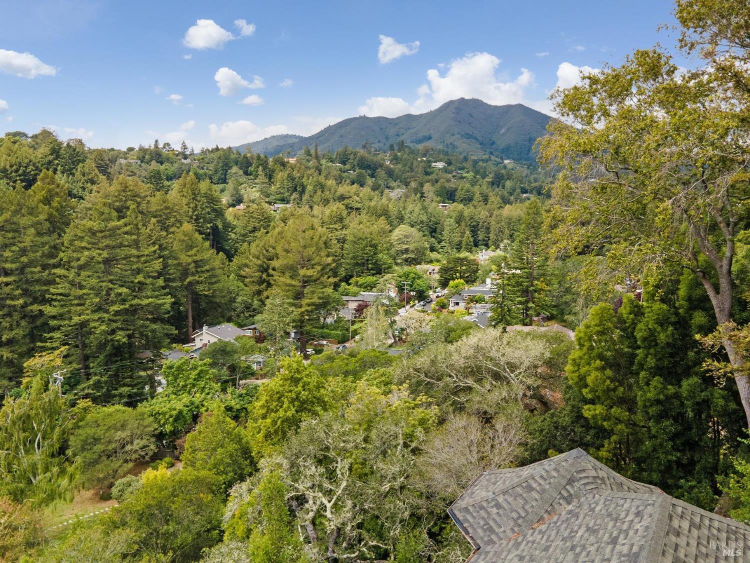17 Coronet Avenue
