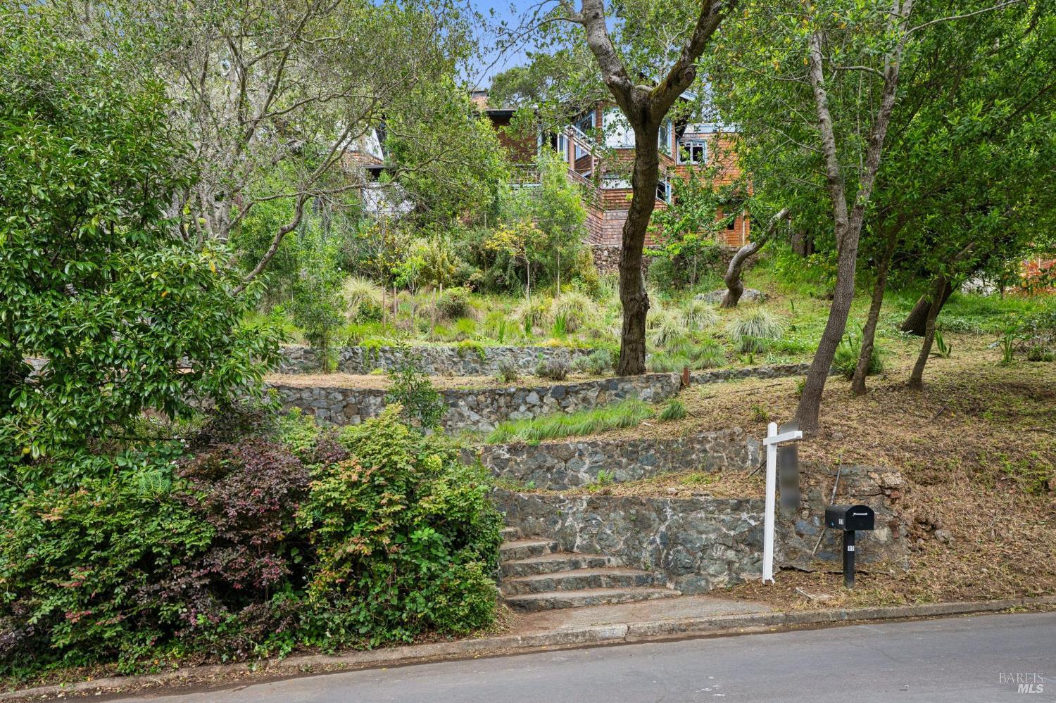 17 Coronet Avenue