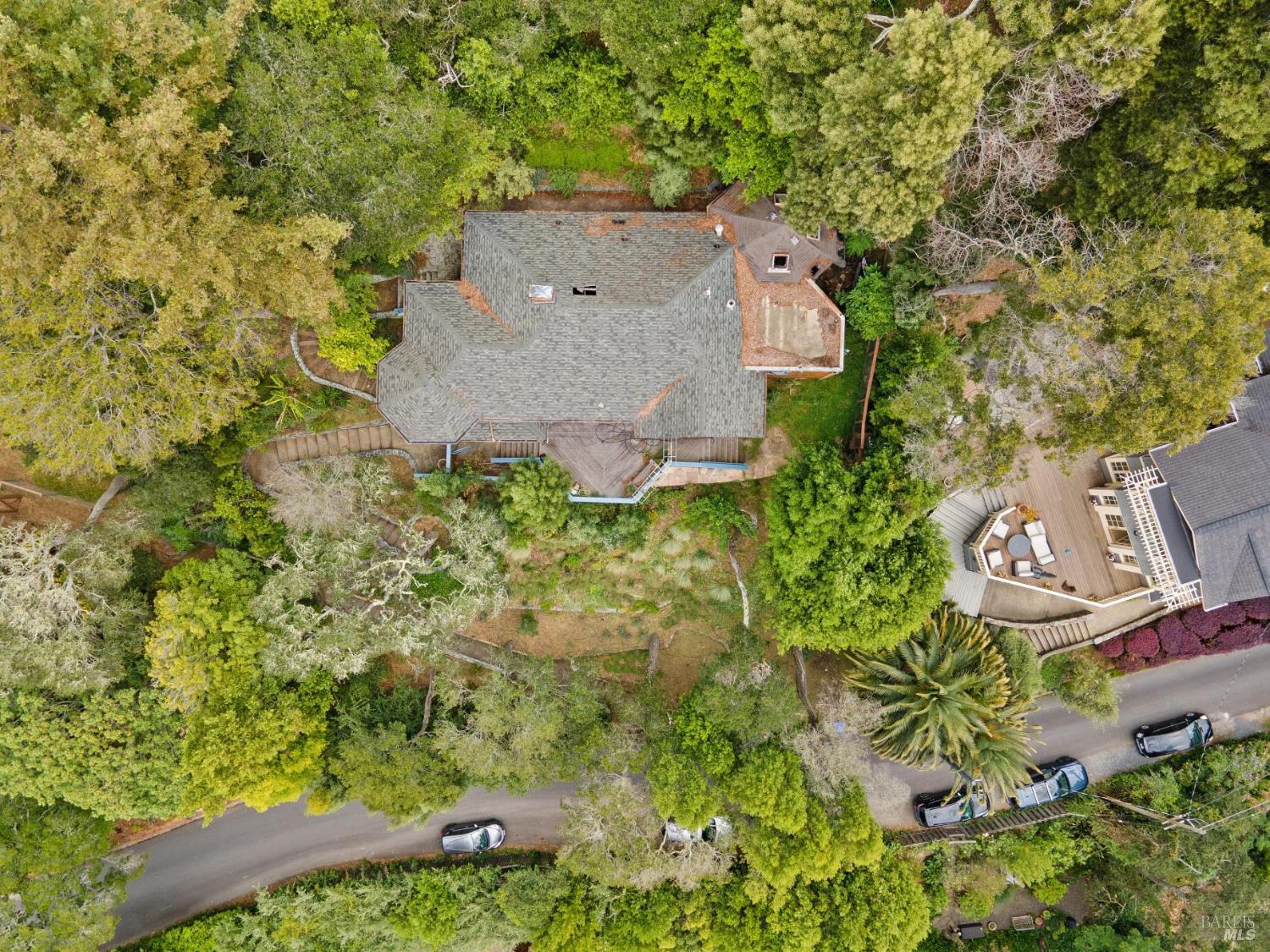 17 Coronet Avenue