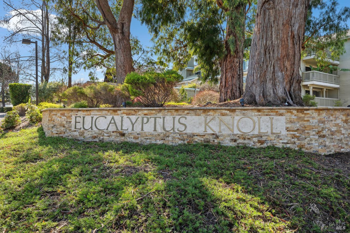 11 Eucalyptus Knoll Street