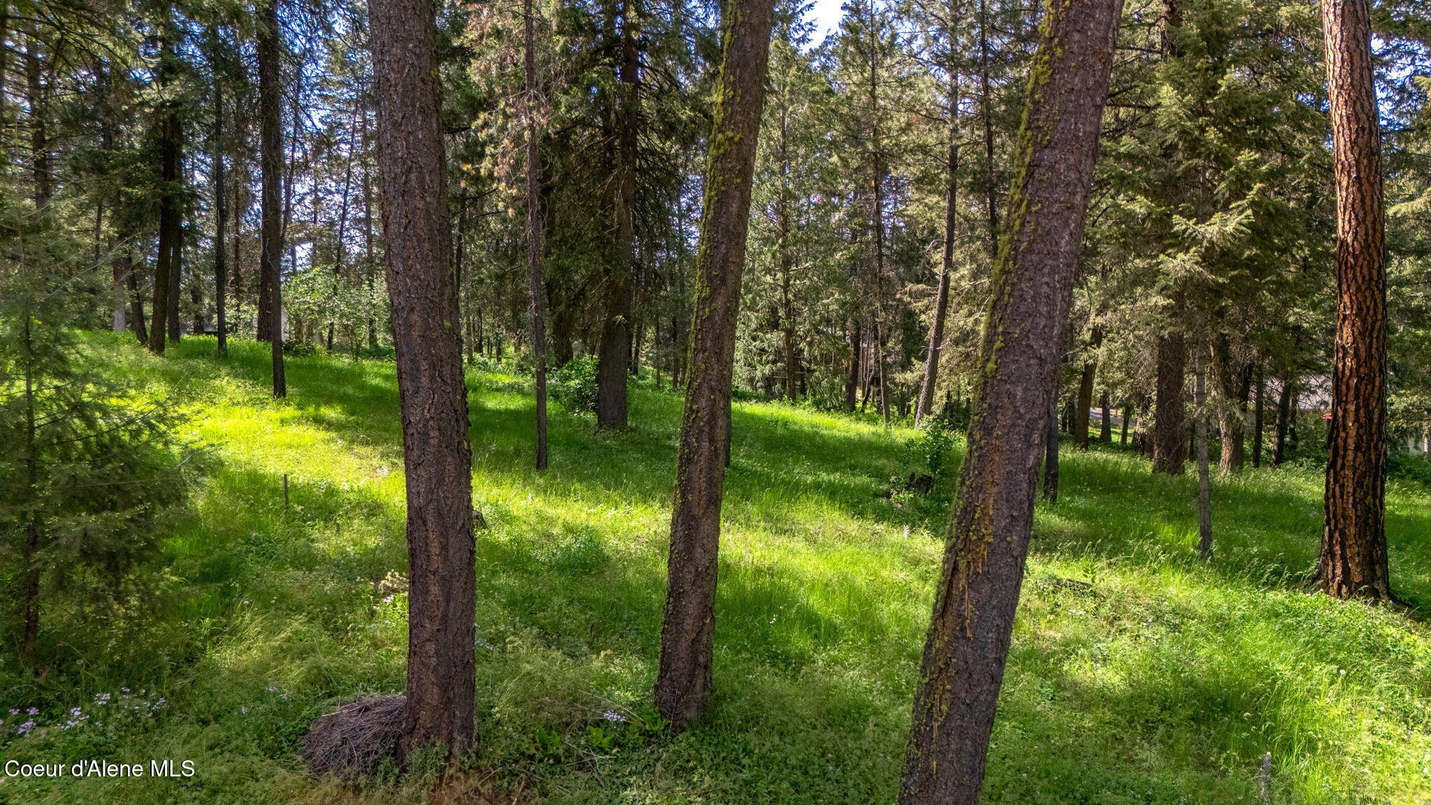 NNA STONERIDGE LOT 1