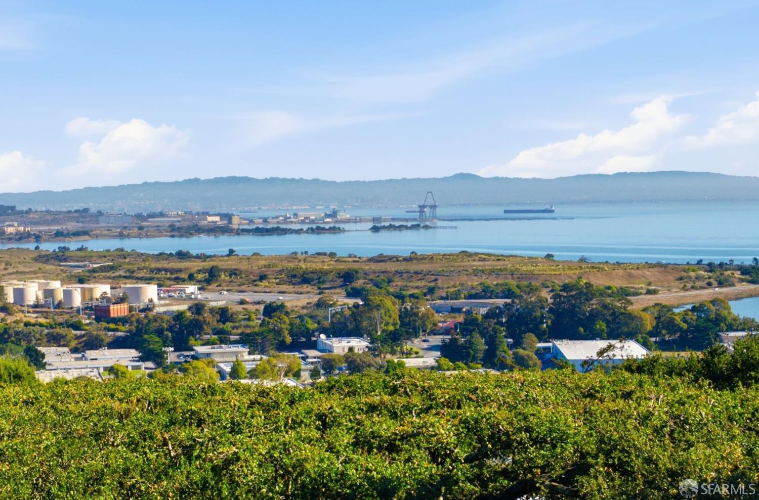 Panoramic bay view beyond vineyards, with a cargo ship and industrial shoreline.