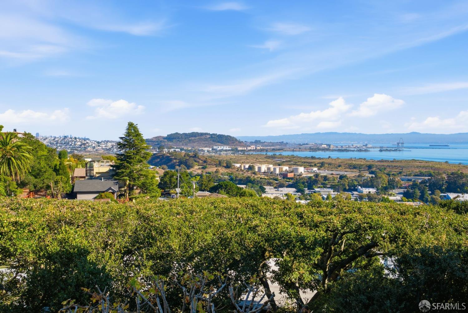 San Francisco Bay and distant city skyline viewed over hillside homes and greenery.