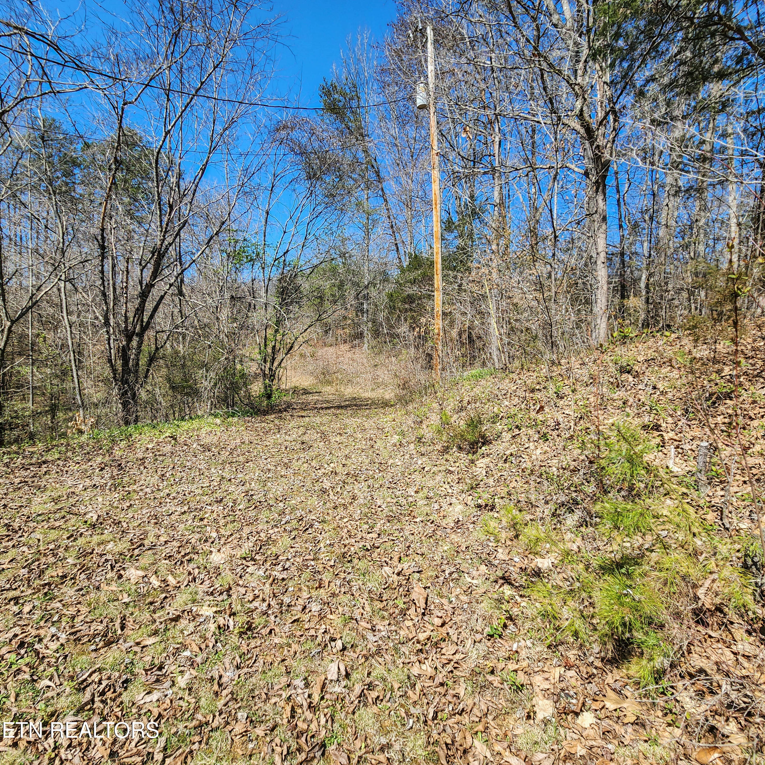536 Hubbs Grove Rd