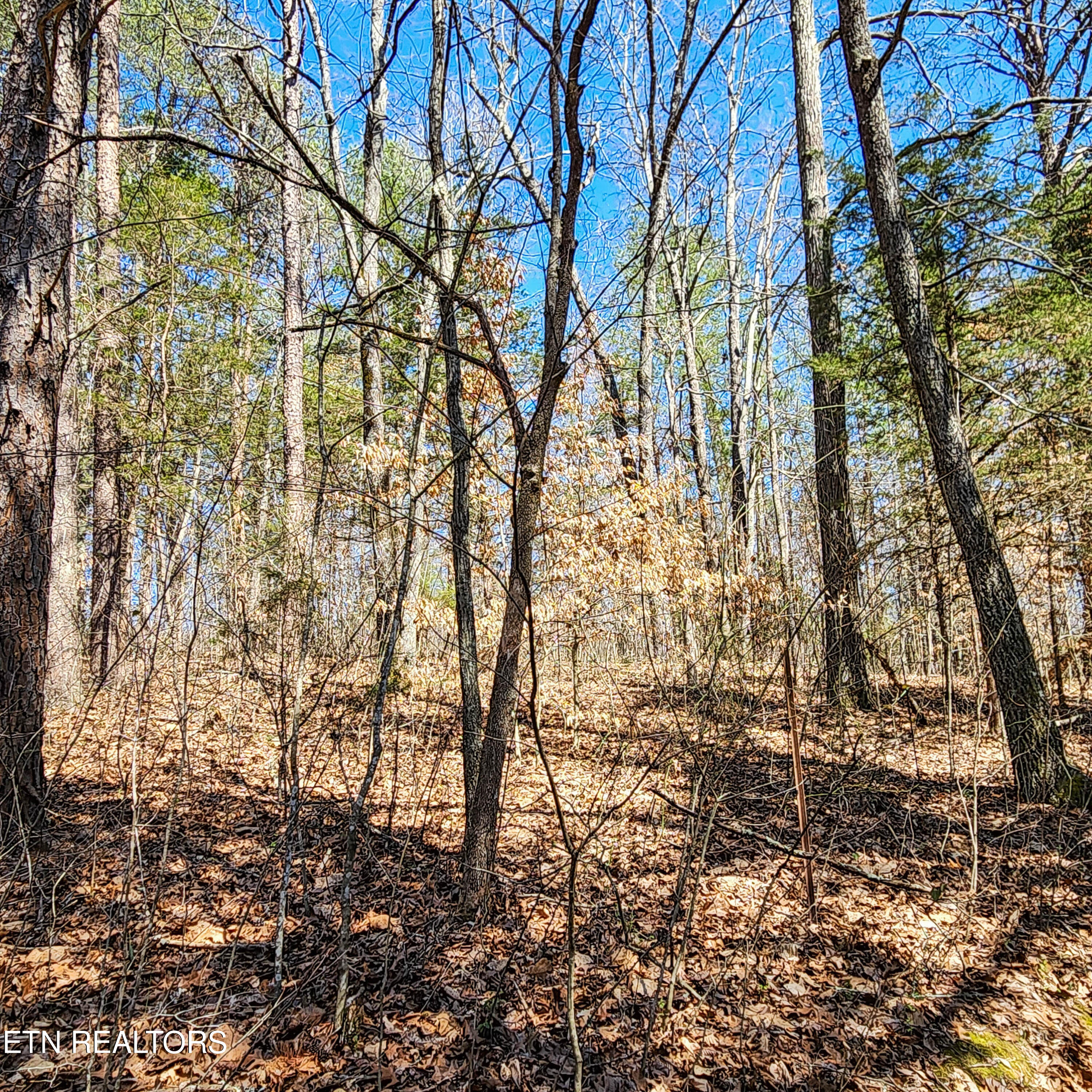 536 Hubbs Grove Rd