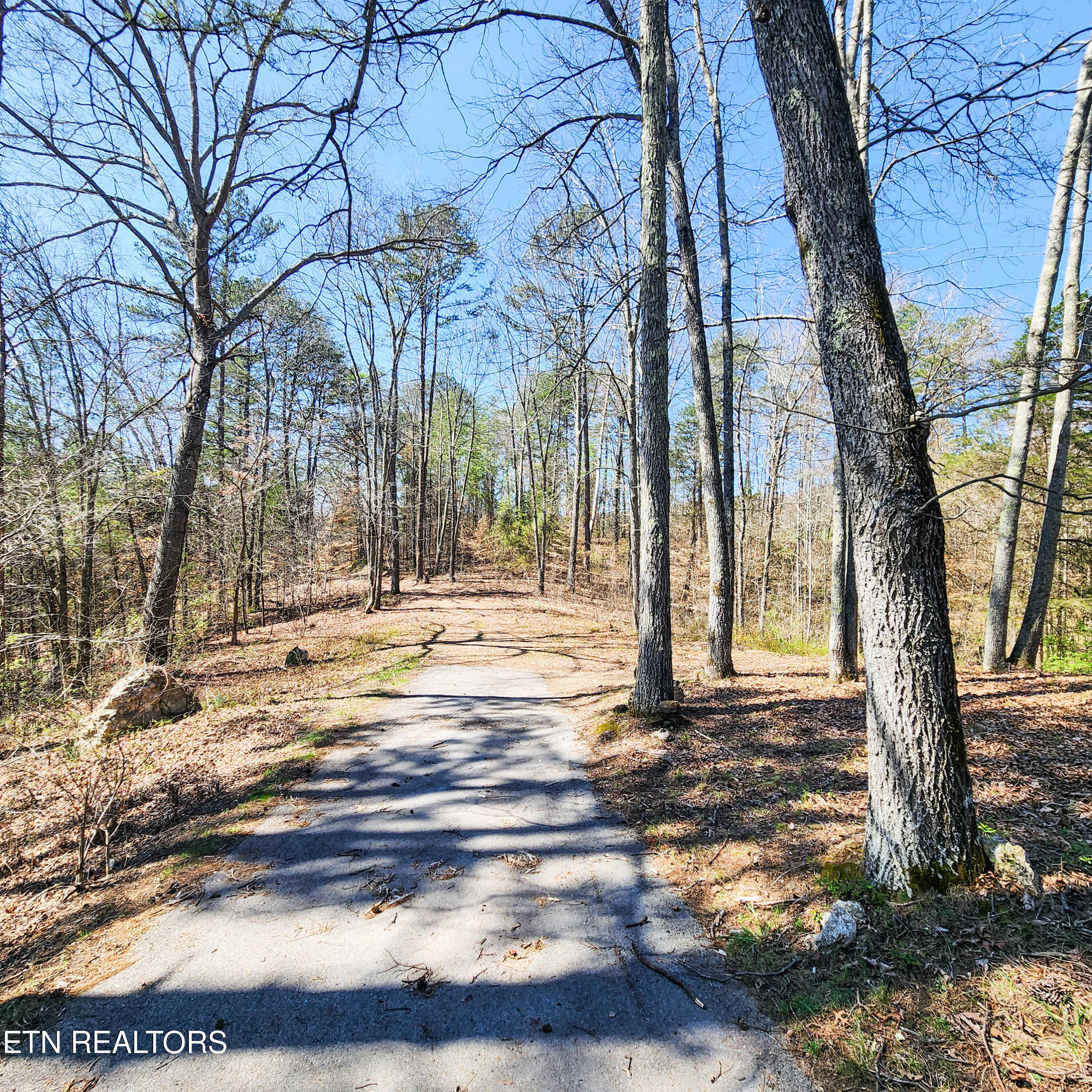 536 Hubbs Grove Rd