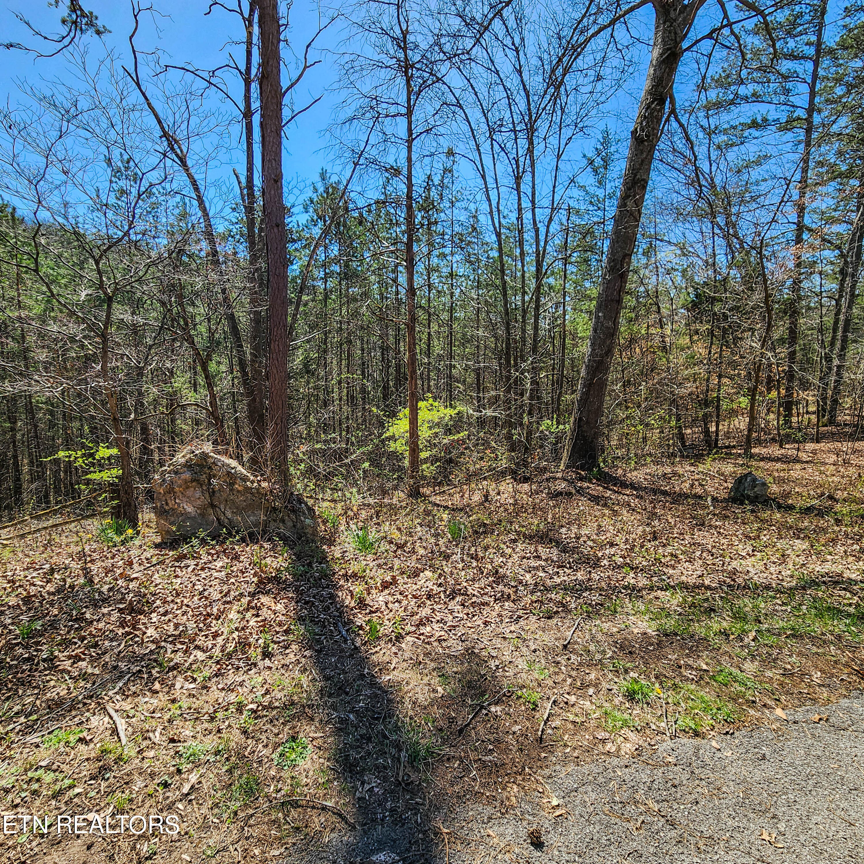 536 Hubbs Grove Rd