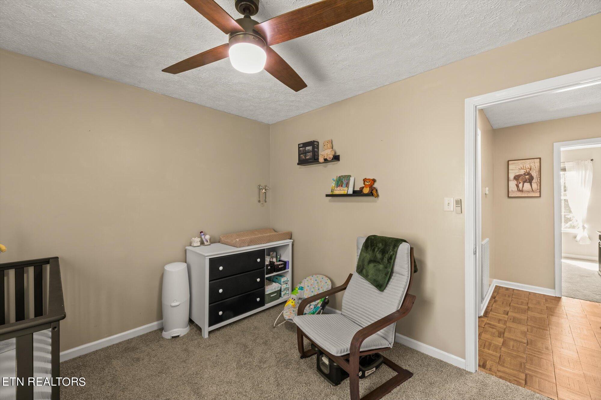 104 Alpine Drive