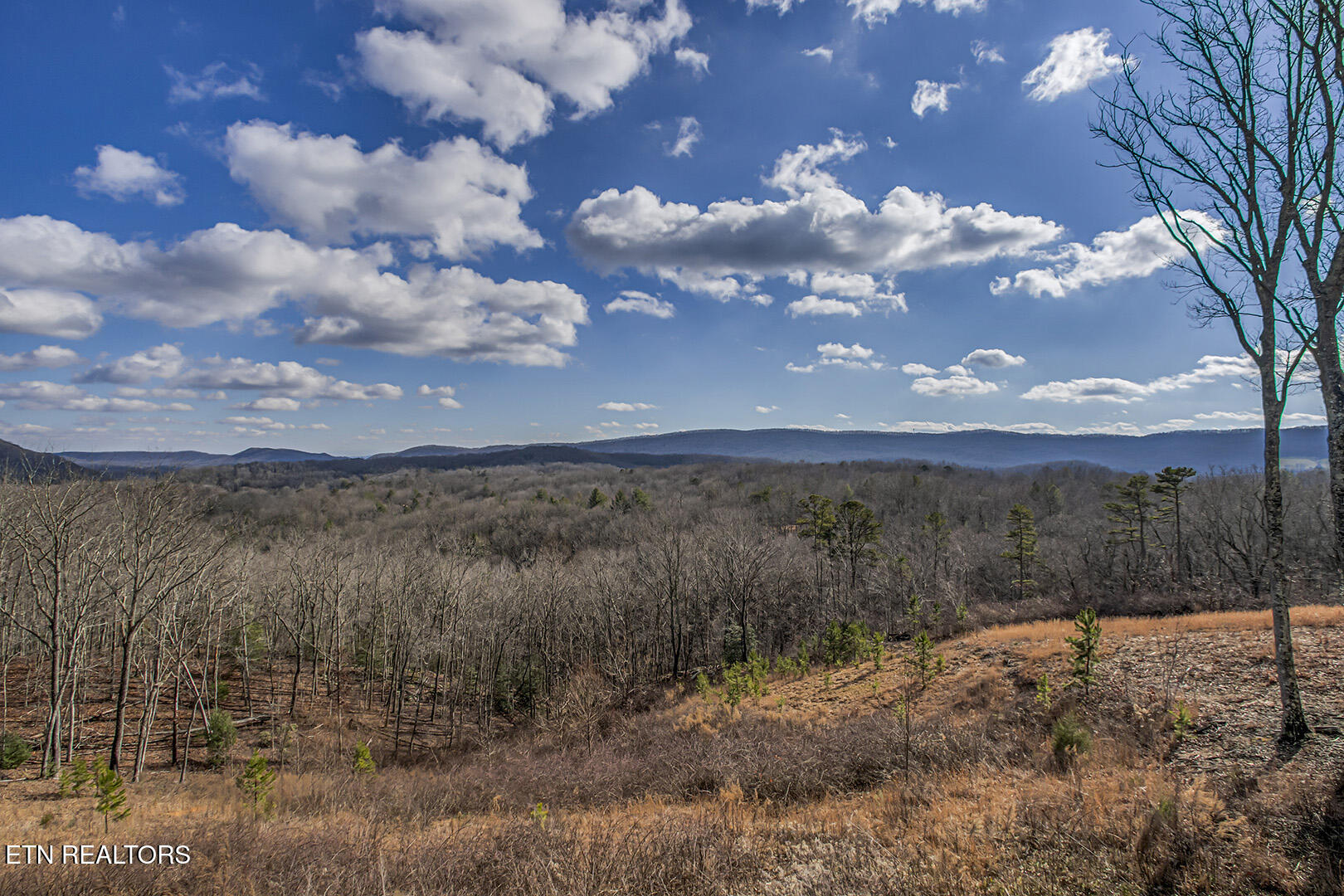 631 Green Ridge Tr