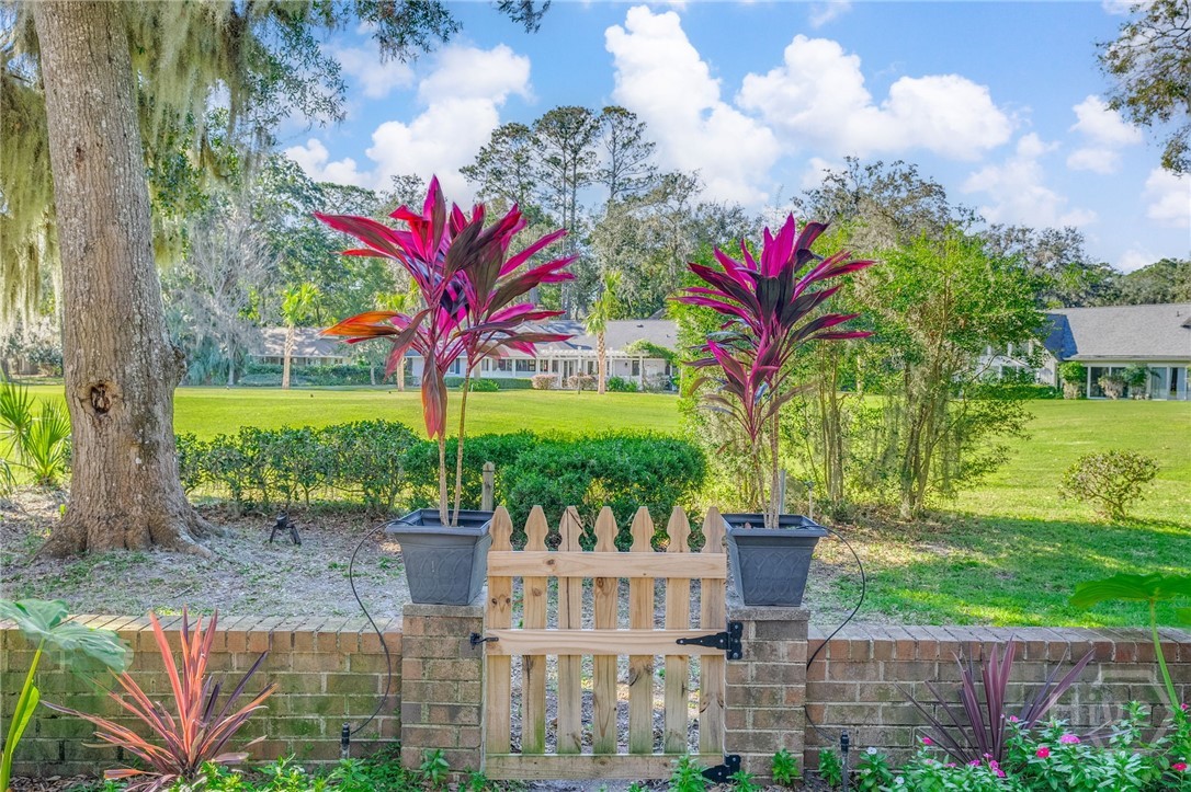 2 Mad Turkey Crossing