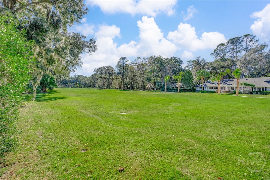 2 Mad Turkey Crossing