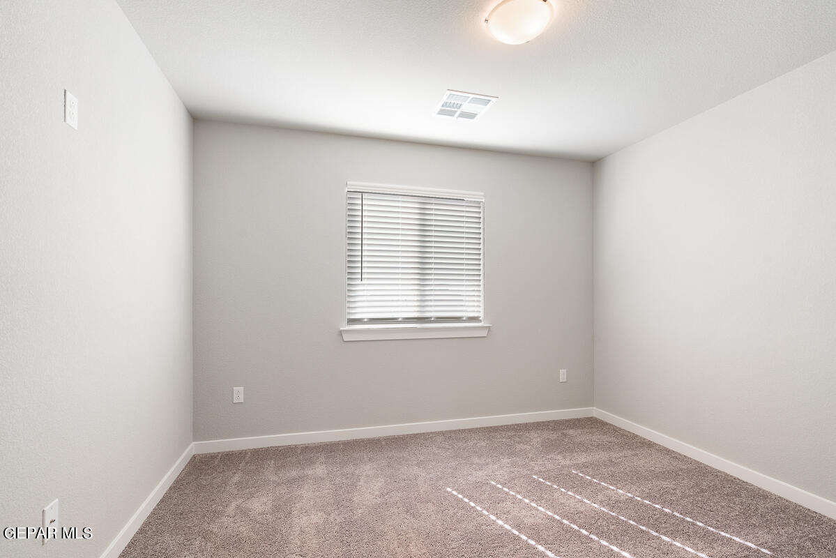 11161 Blazing Star Place