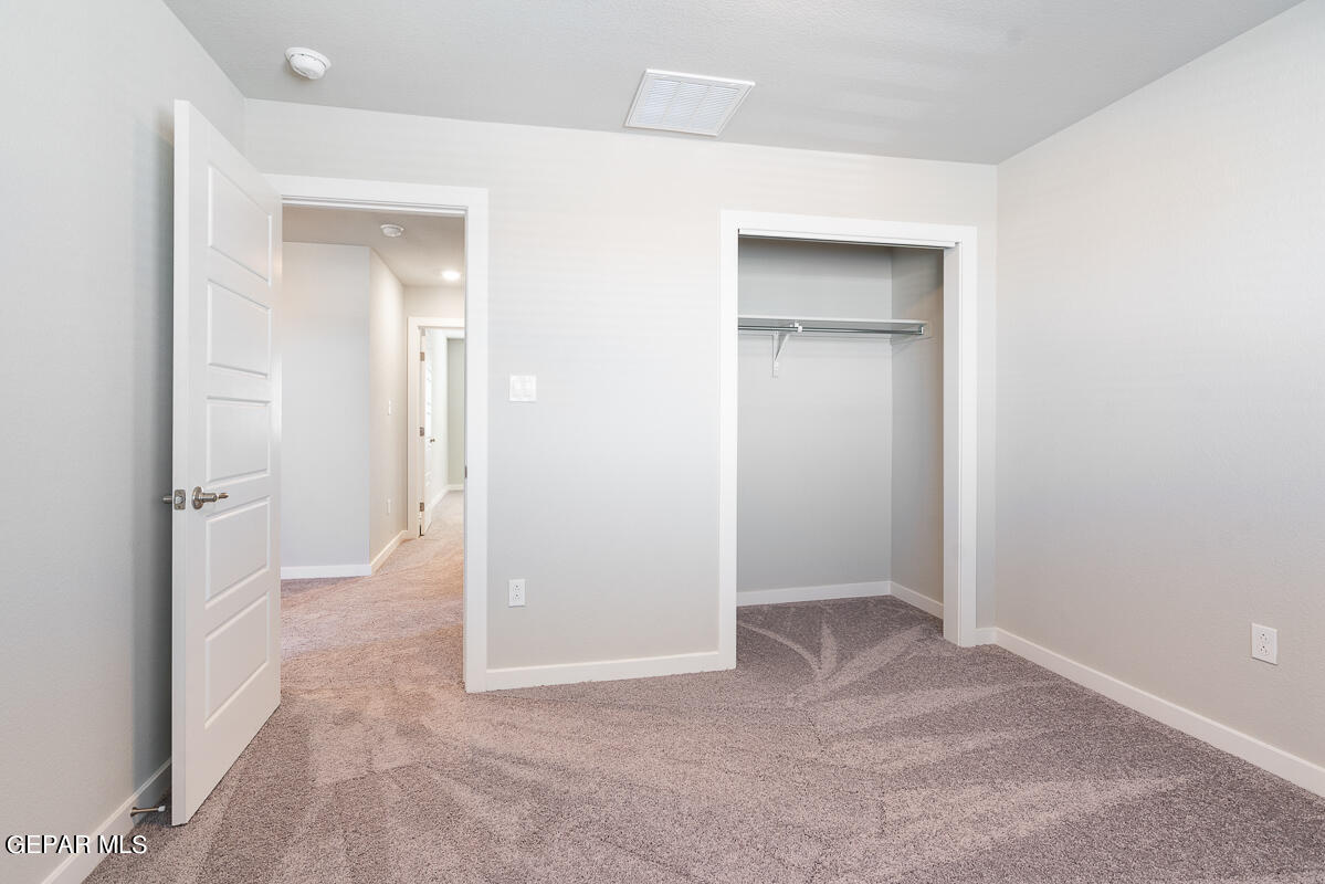 11161 Blazing Star Place