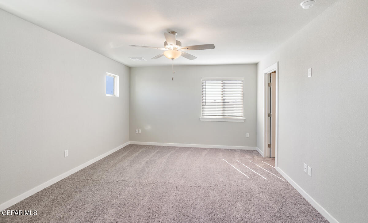 11161 Blazing Star Place