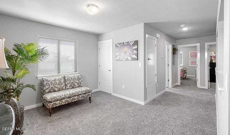 11134 Blazing Star Place