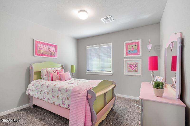11134 Blazing Star Place