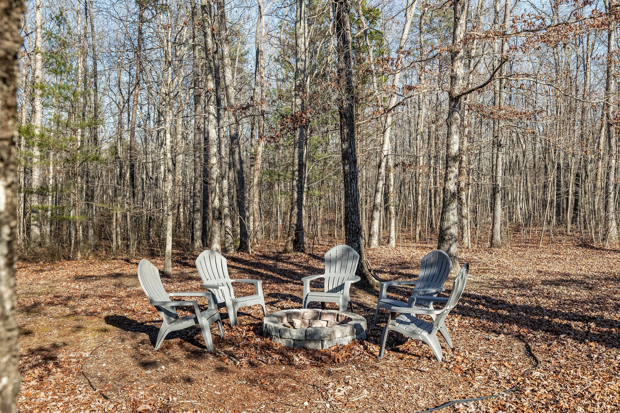 450 Flat Branch Rd