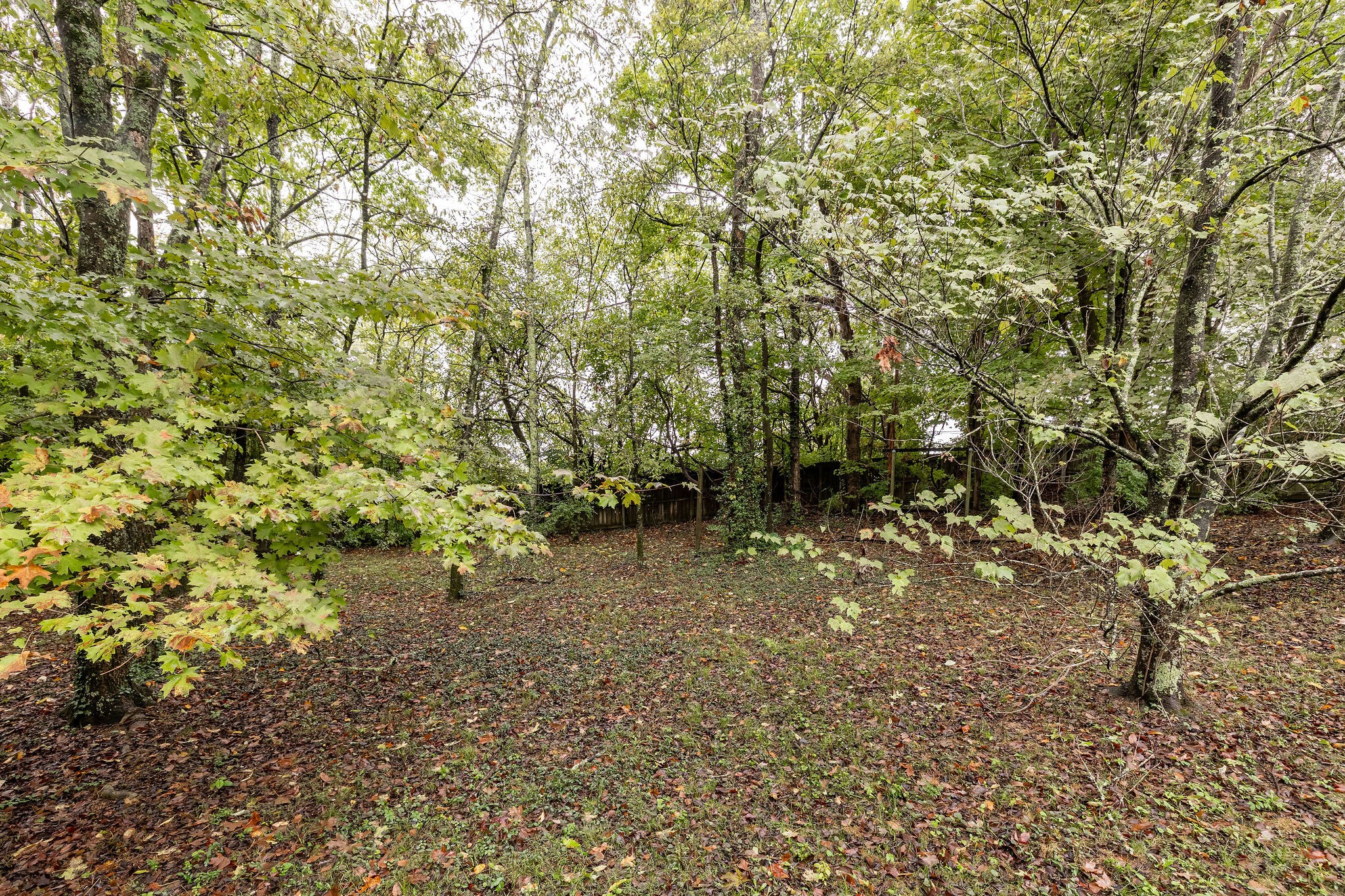 1409 Trace Ridge Ln