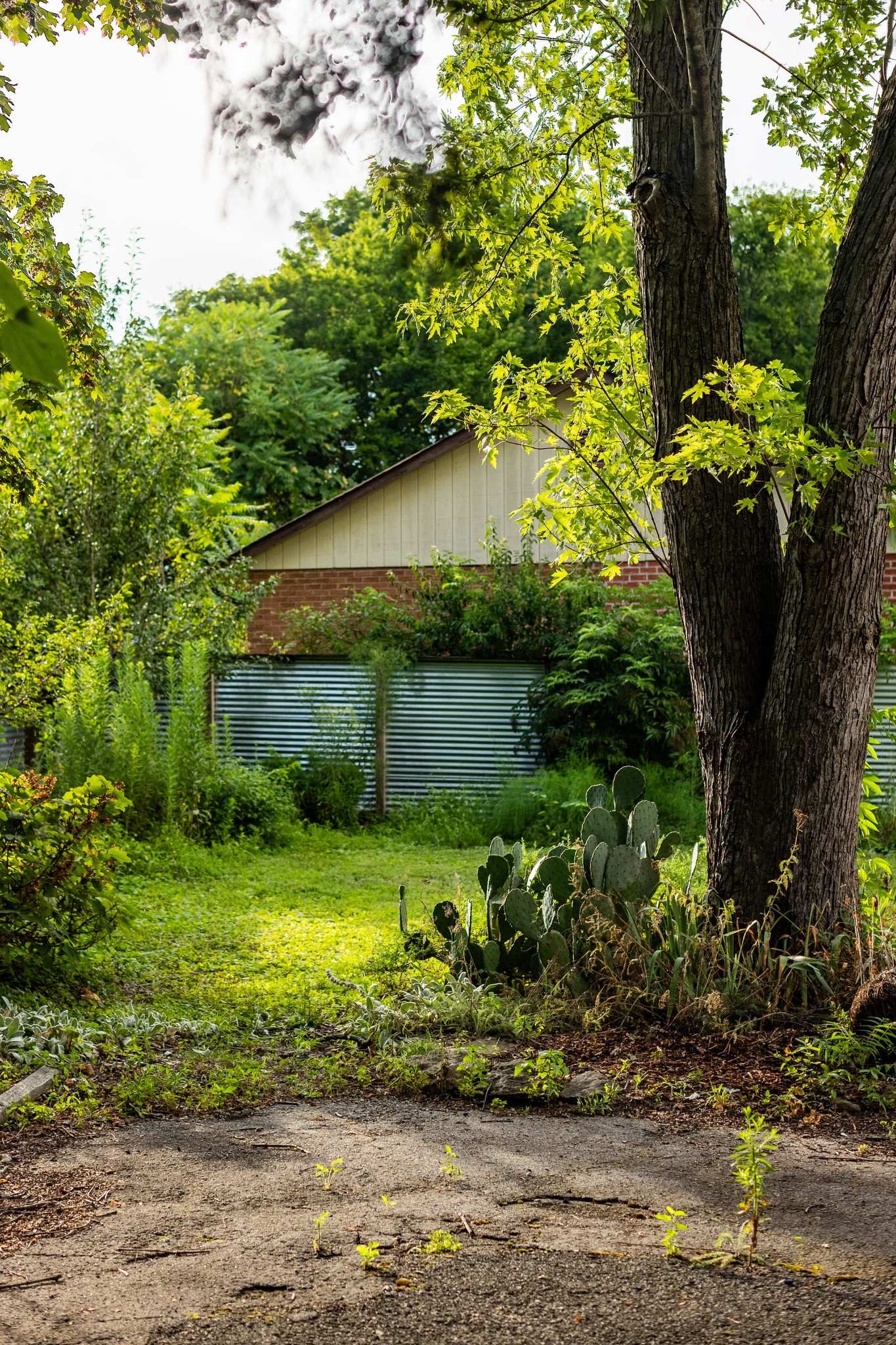 1600 Haynes Meade Cir