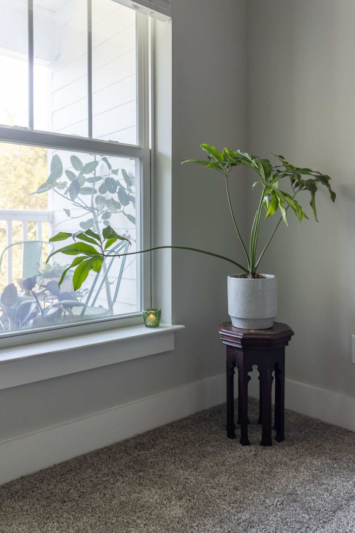 934 Governors Ct Unit: 210