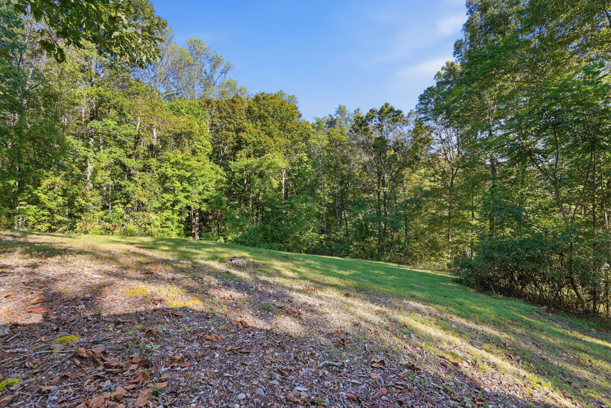 218 Poplar Pl