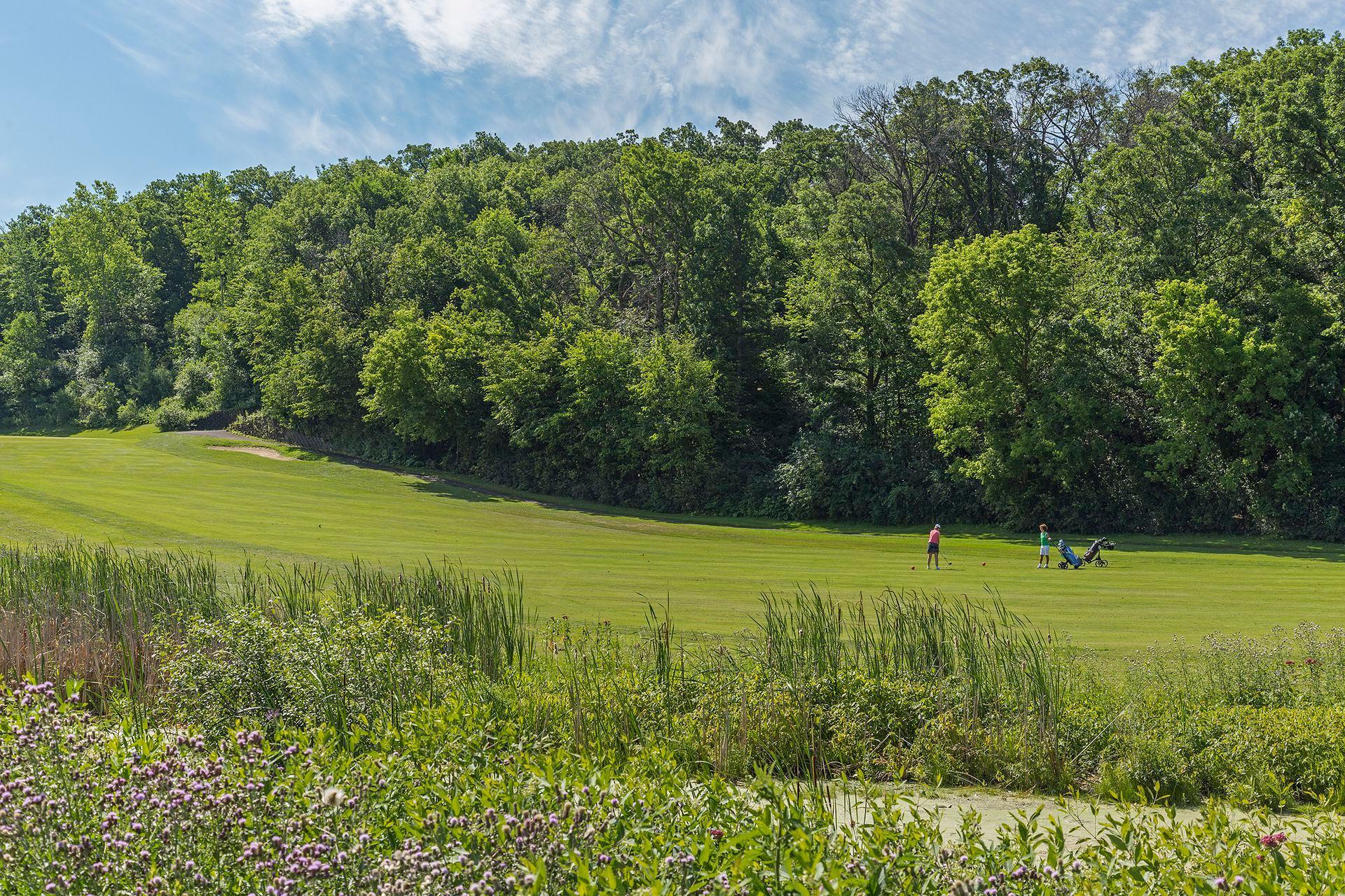 5921 Bonnie Brae Drive