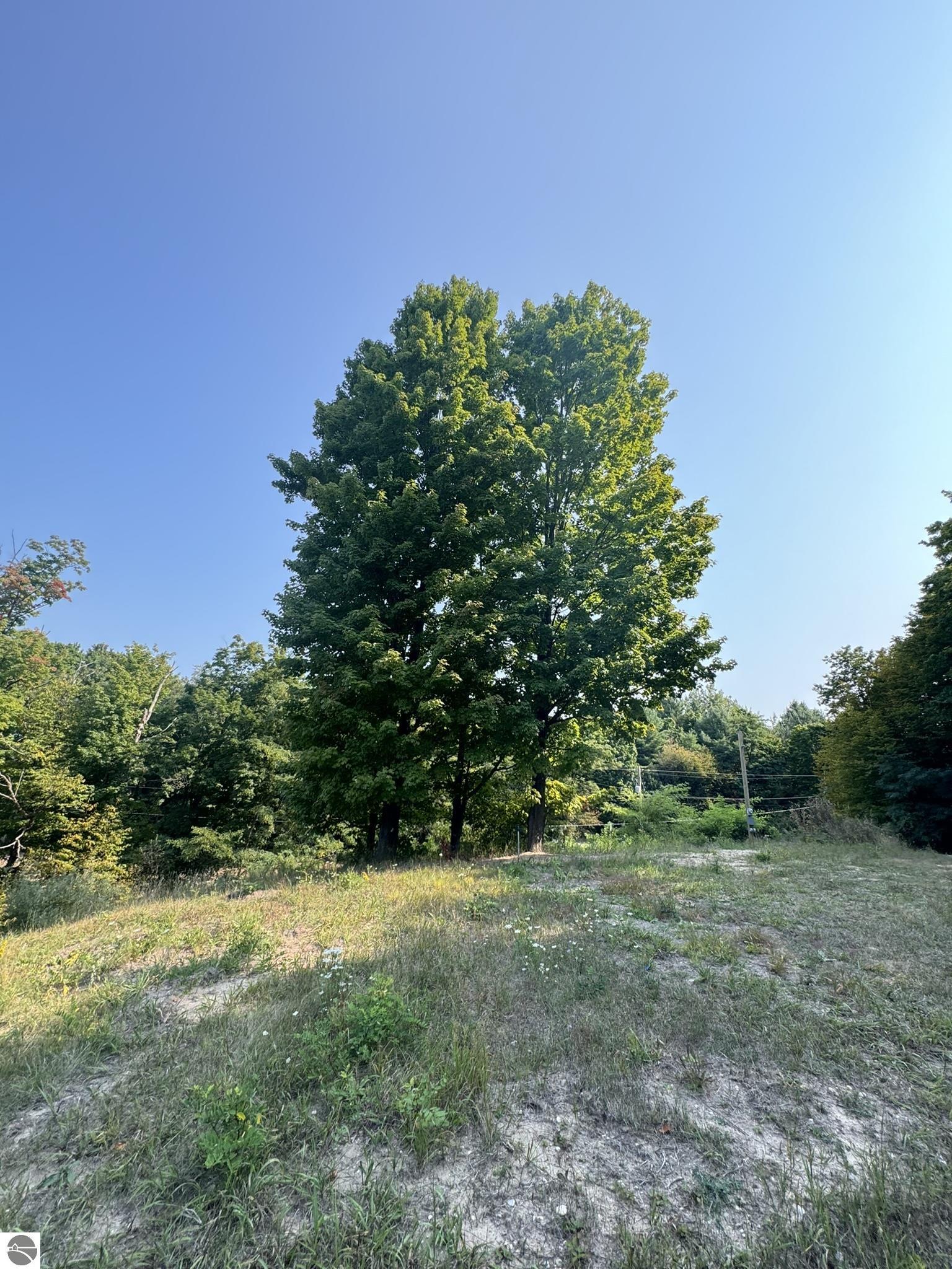 9011 Walling Road