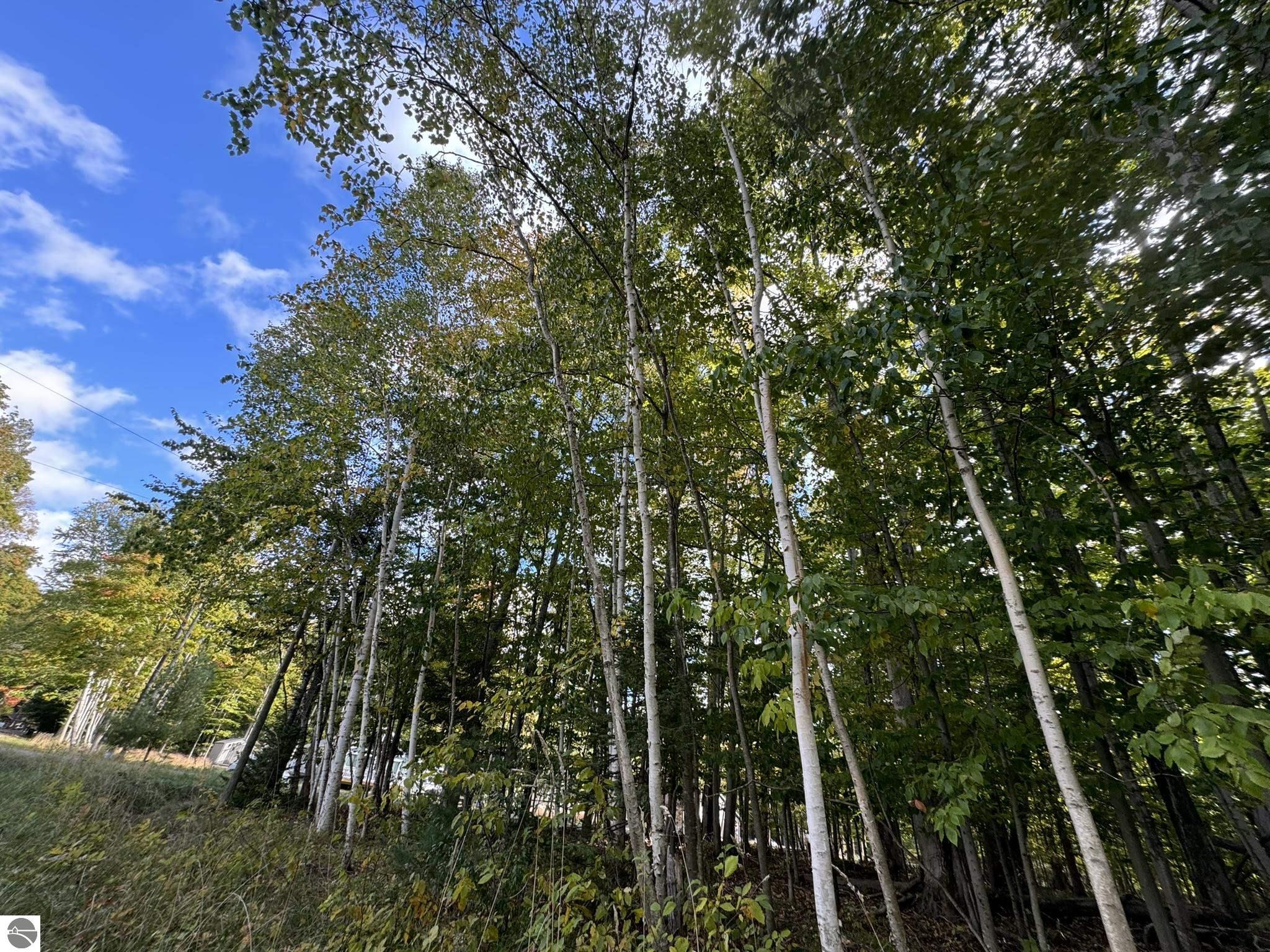 000 Was-Wa-Gun Trail