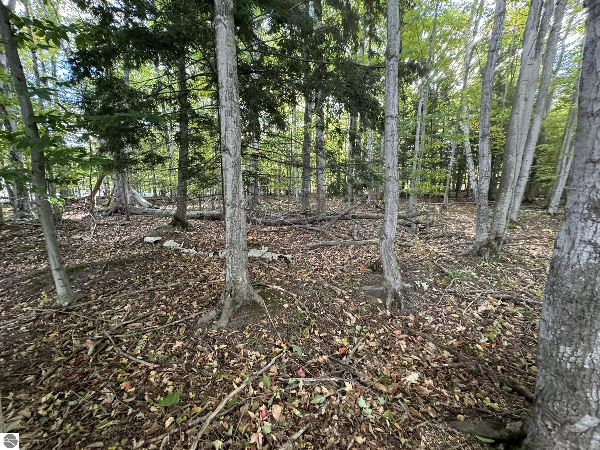 000 Was-Wa-Gun Trail