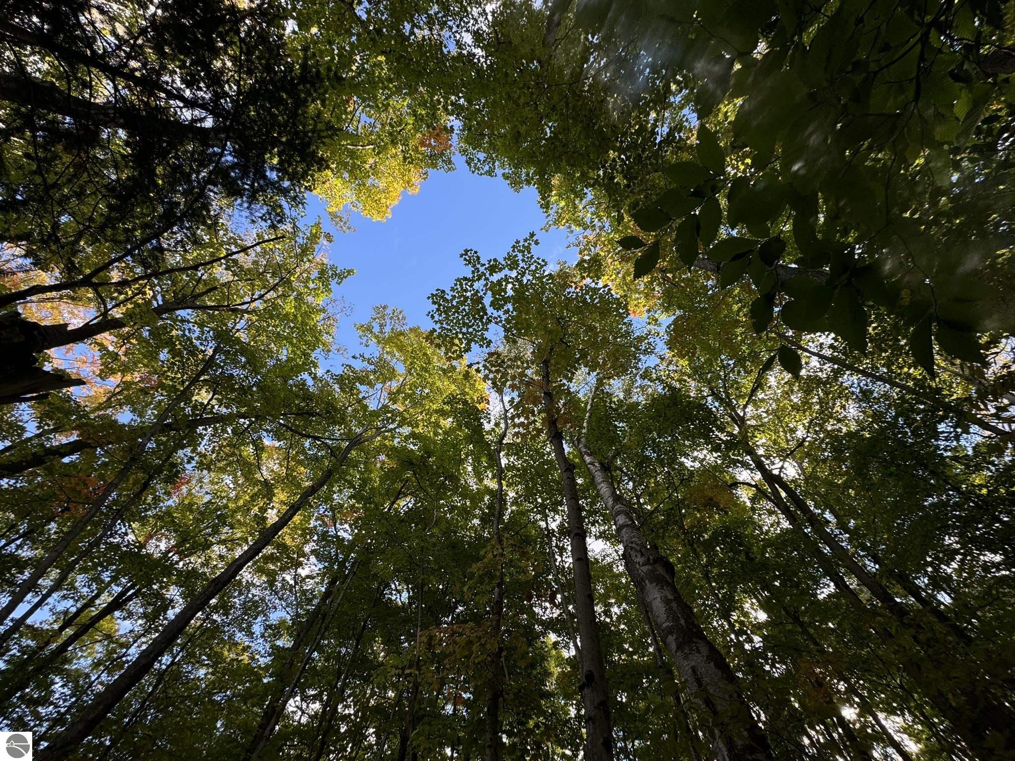 000 Was-Wa-Gun Trail
