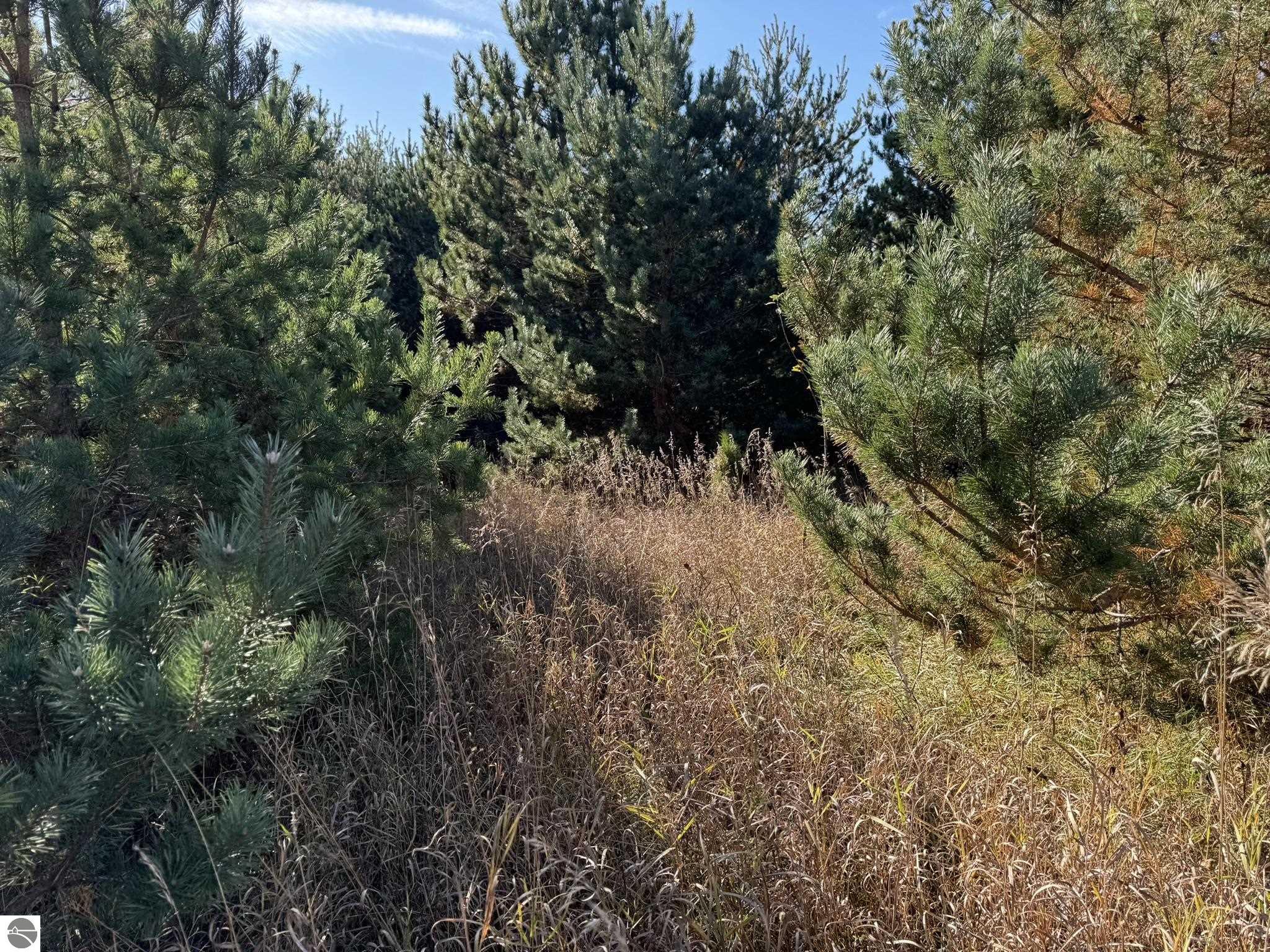 LOT B Van Tyle Road