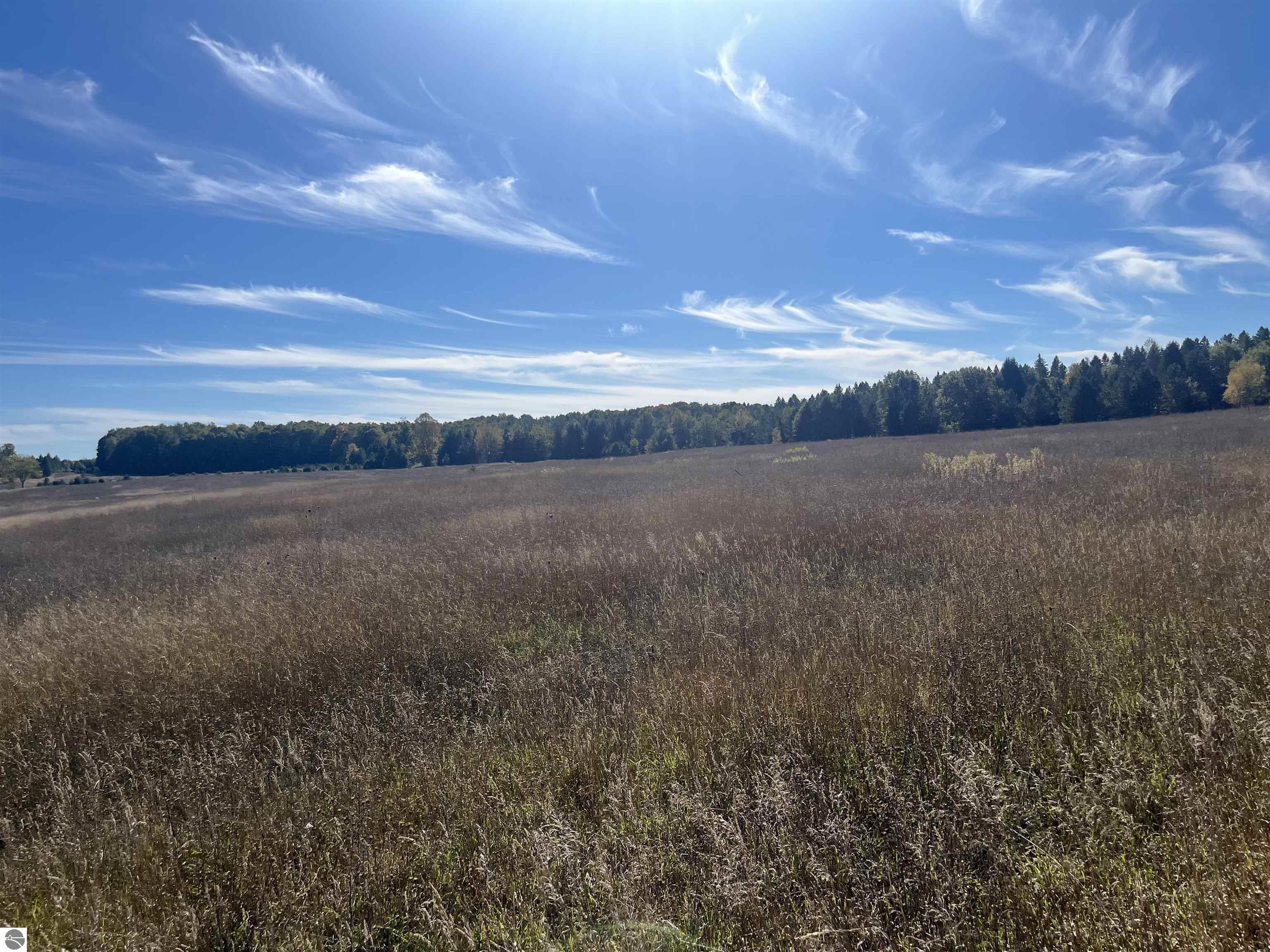 Woodman Road