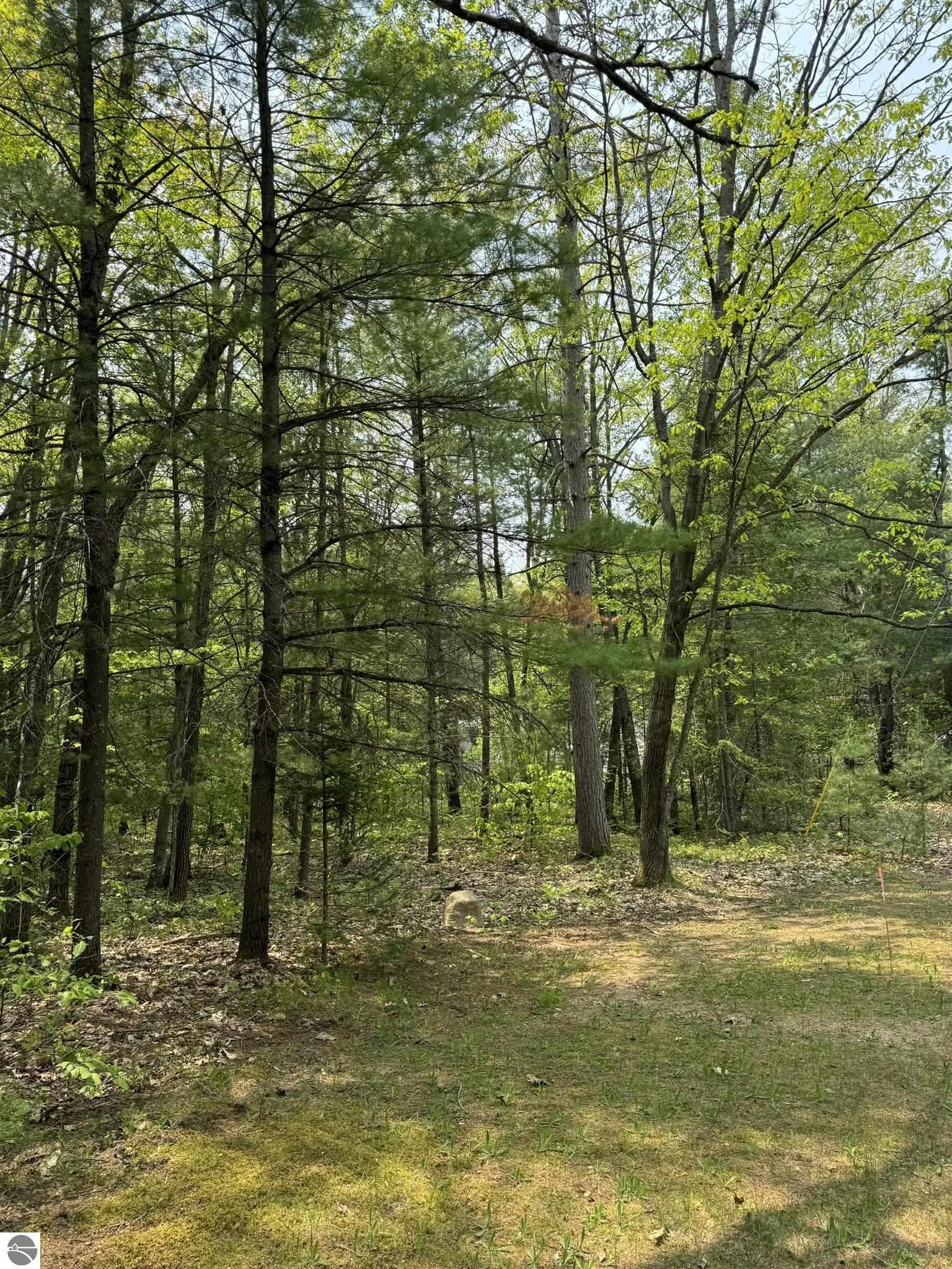 11748 NE Franklin Street