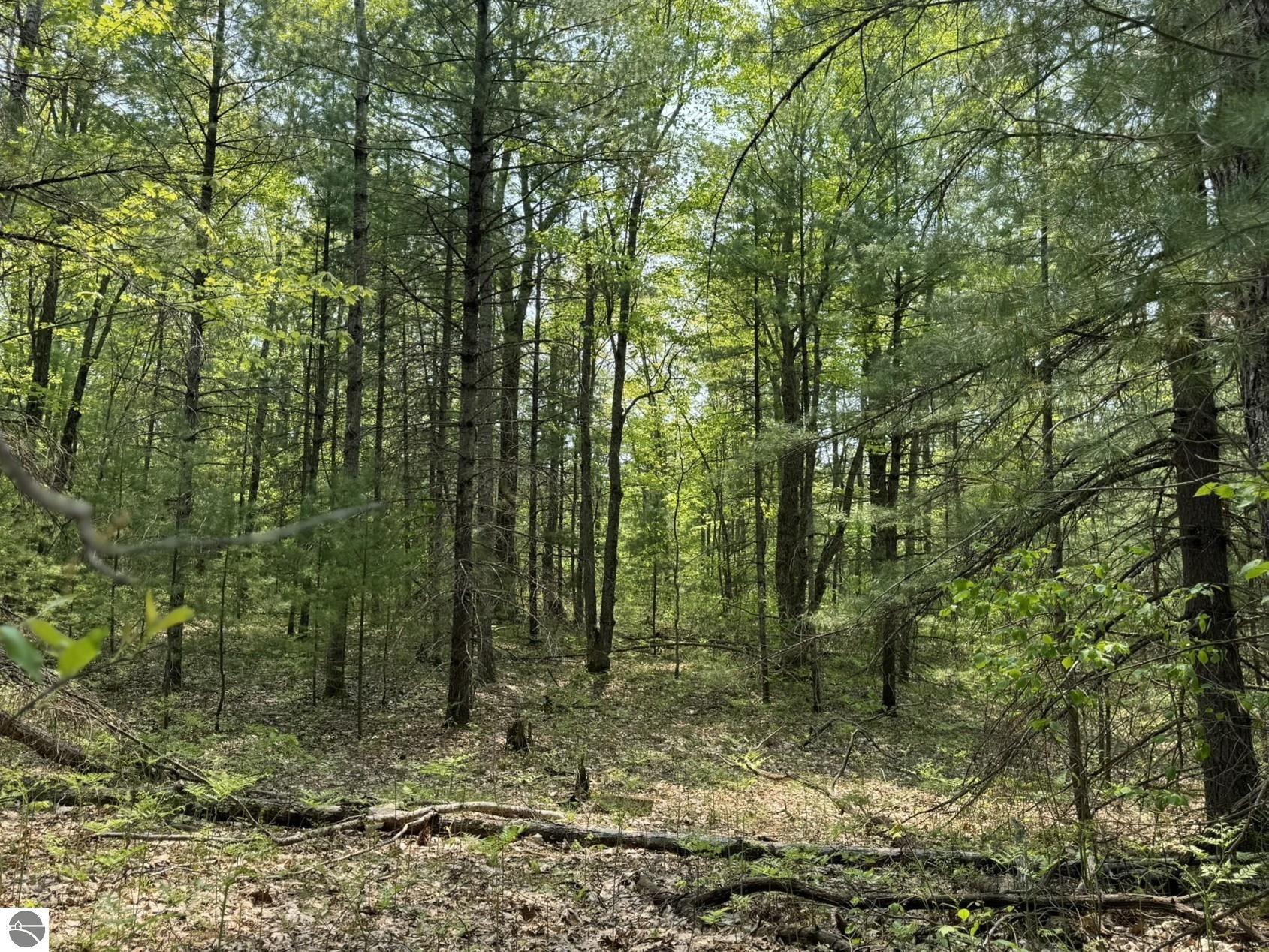 11748 NE Franklin Street